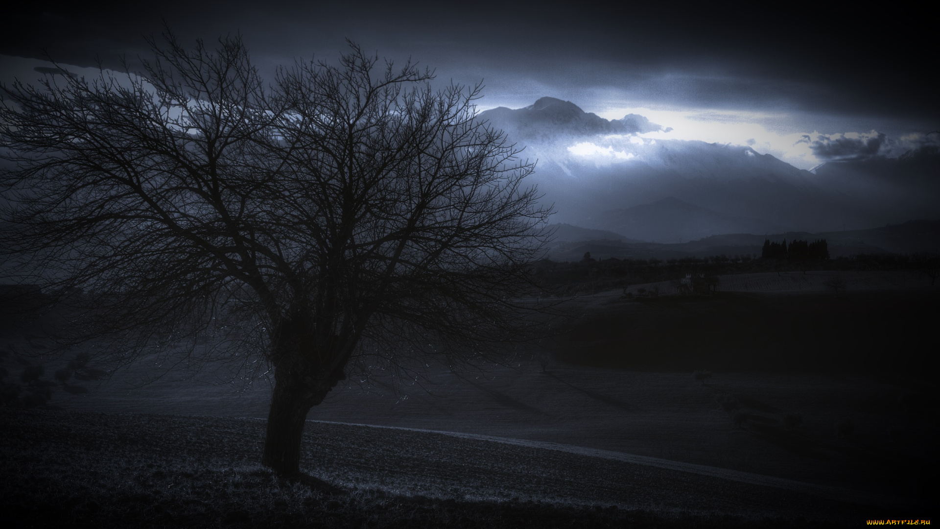 природа, деревья, поле, дерево, облака