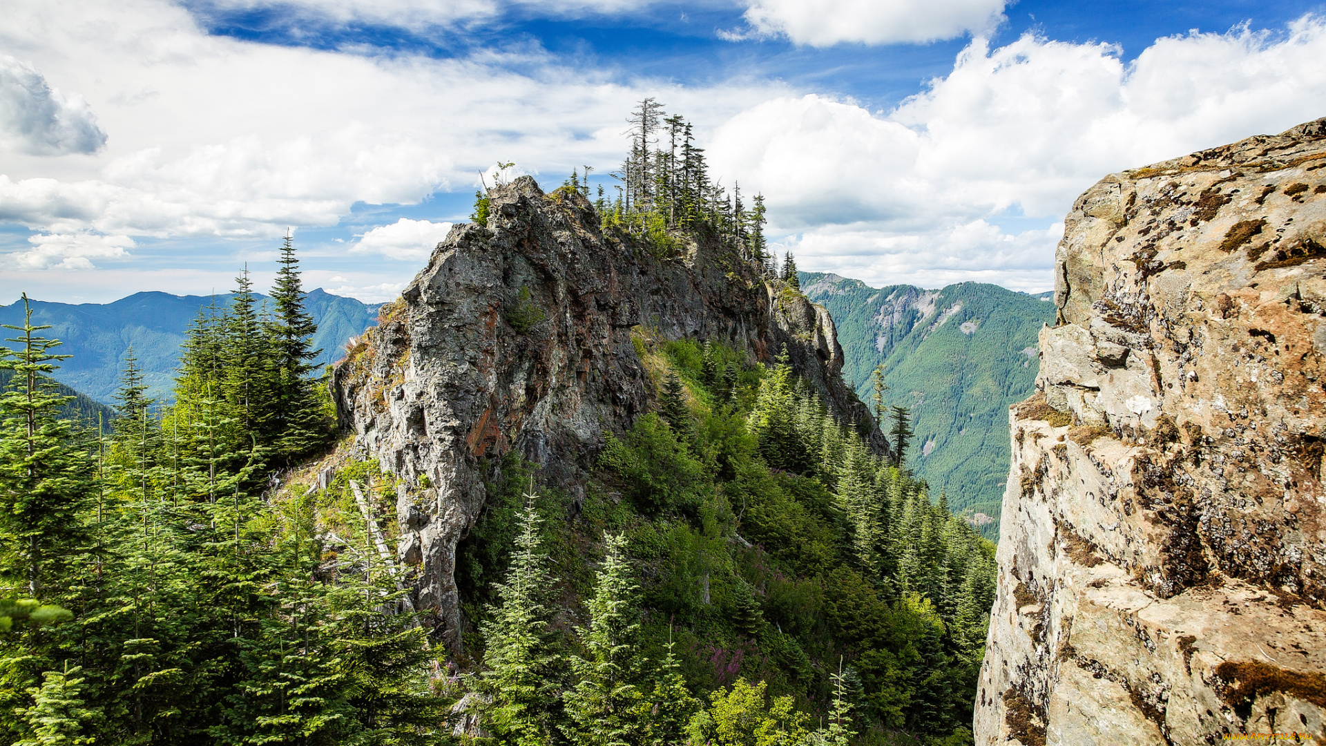 природа, горы, простор