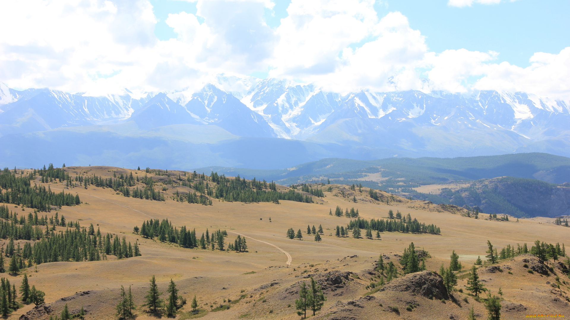 природа, пейзажи, деревья, холмы