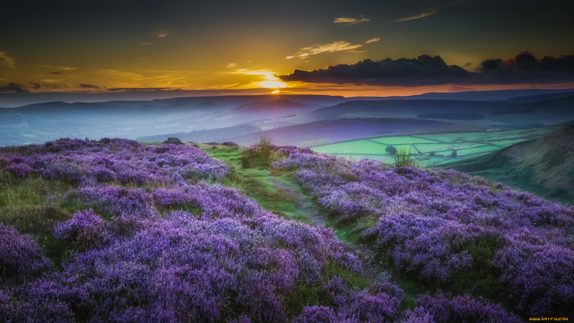 природа, пейзажи, луг, пейзаж, горы, цветы, закат