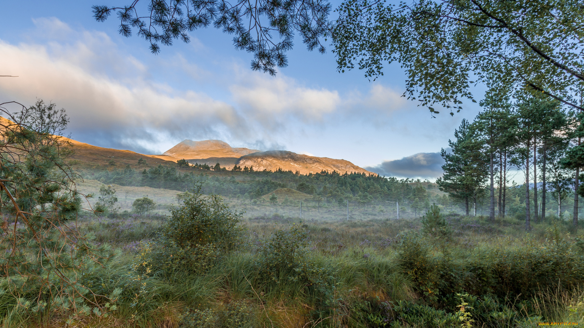 природа, пейзажи, простор
