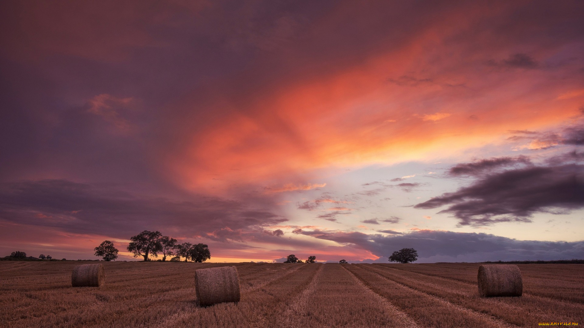 природа, поля, стога, сено, закат