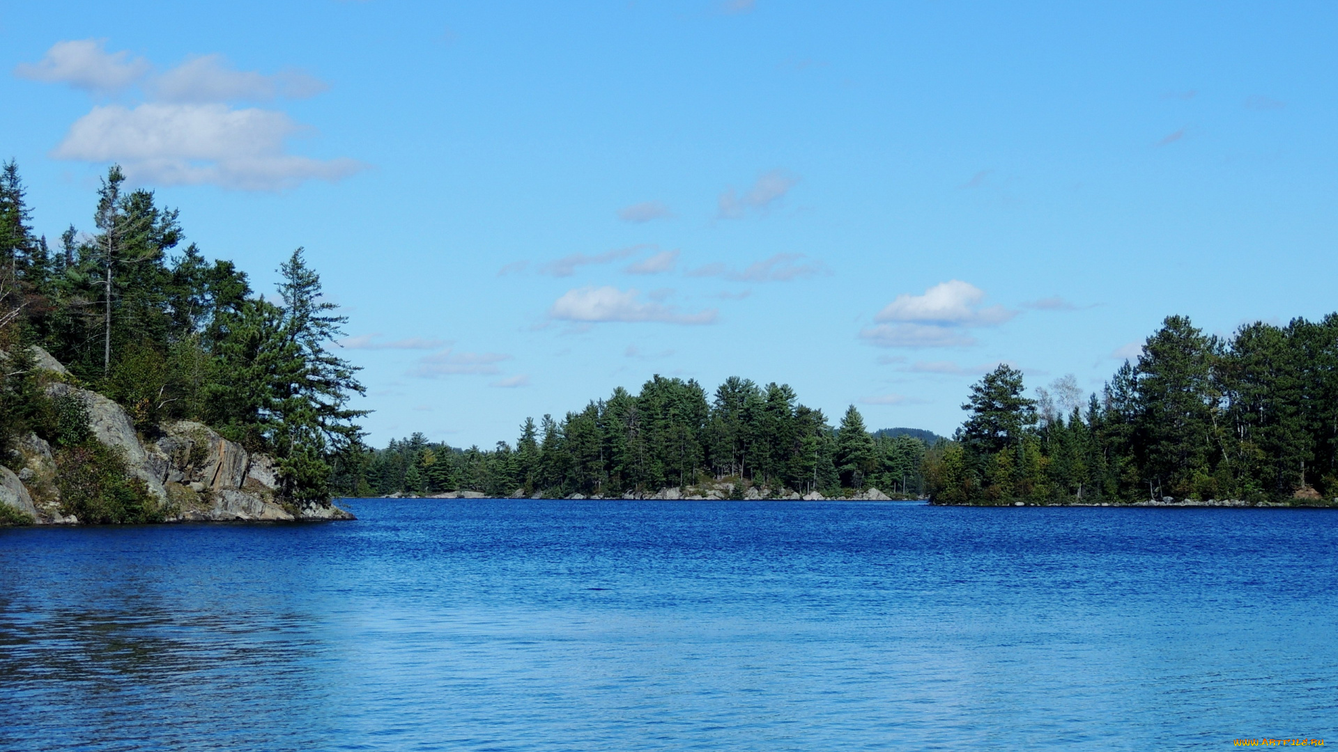 природа, реки, озера, деревья, озеро, вода