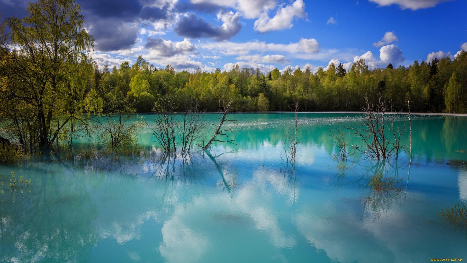 природа, реки, озера, простор