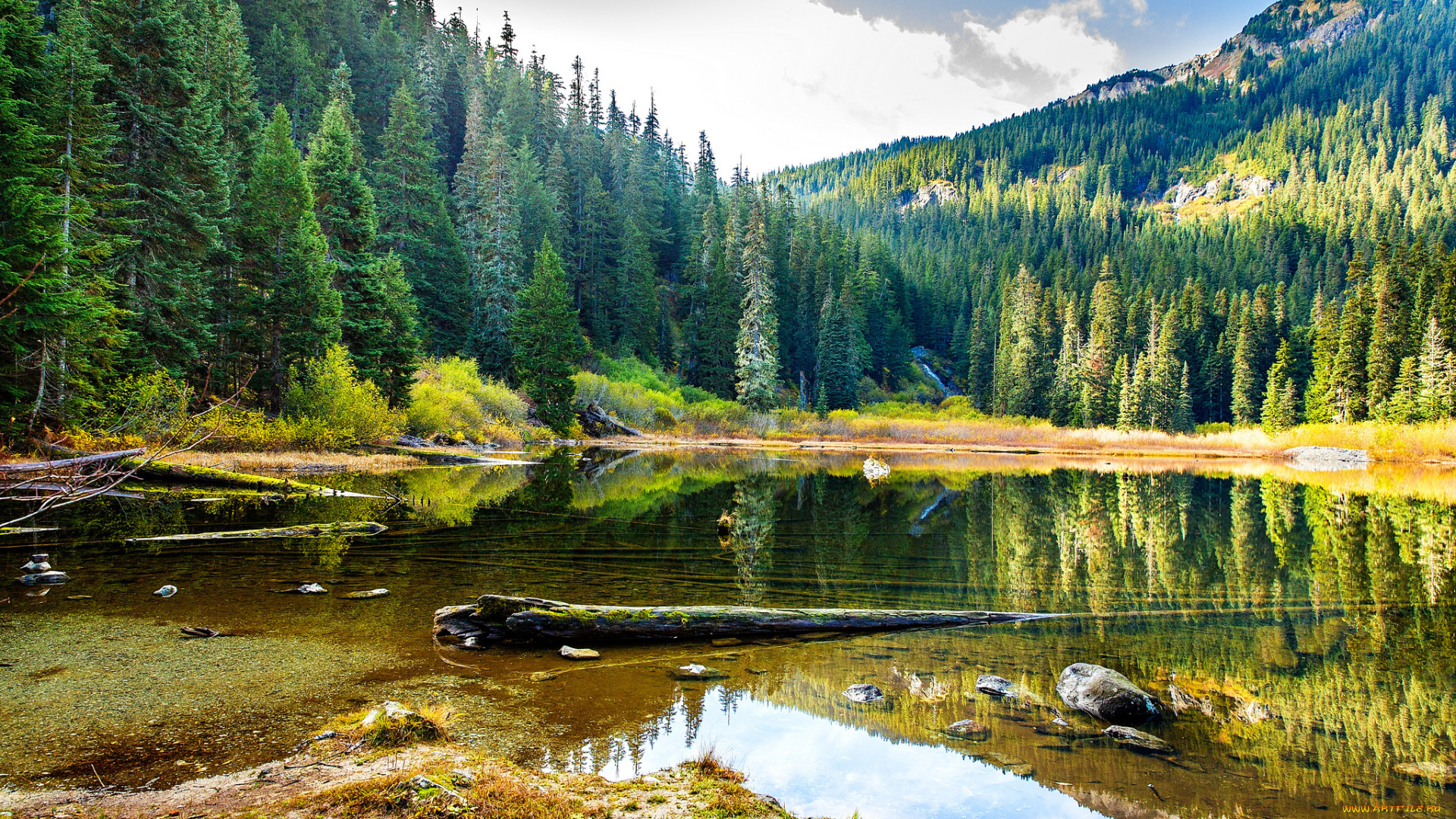 природа, реки, озера, простор