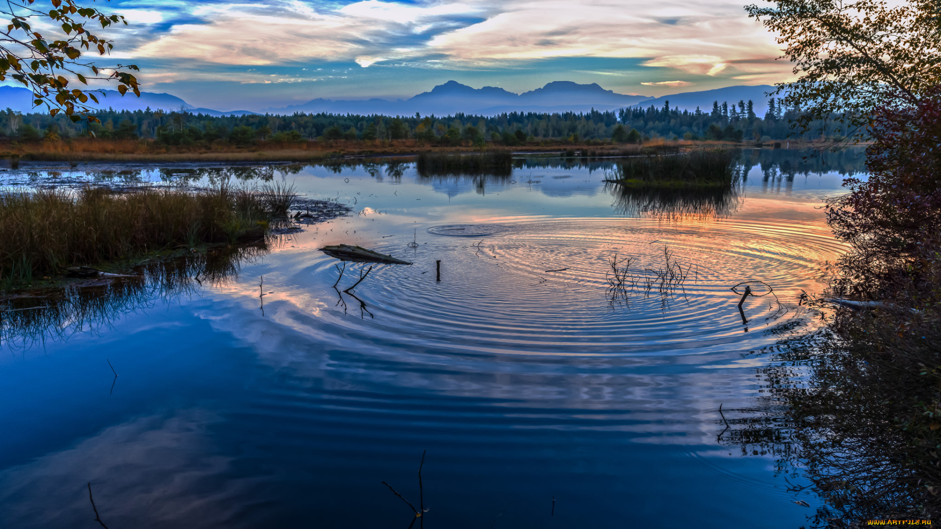 природа, реки, озера, простор