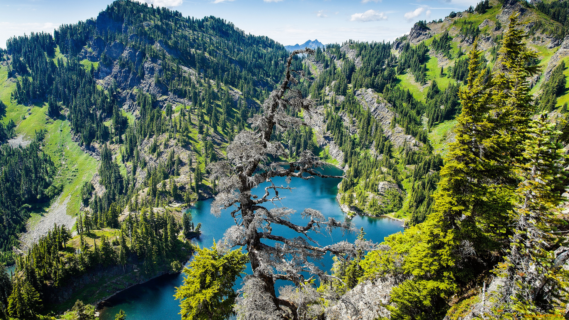 природа, реки, озера, простор