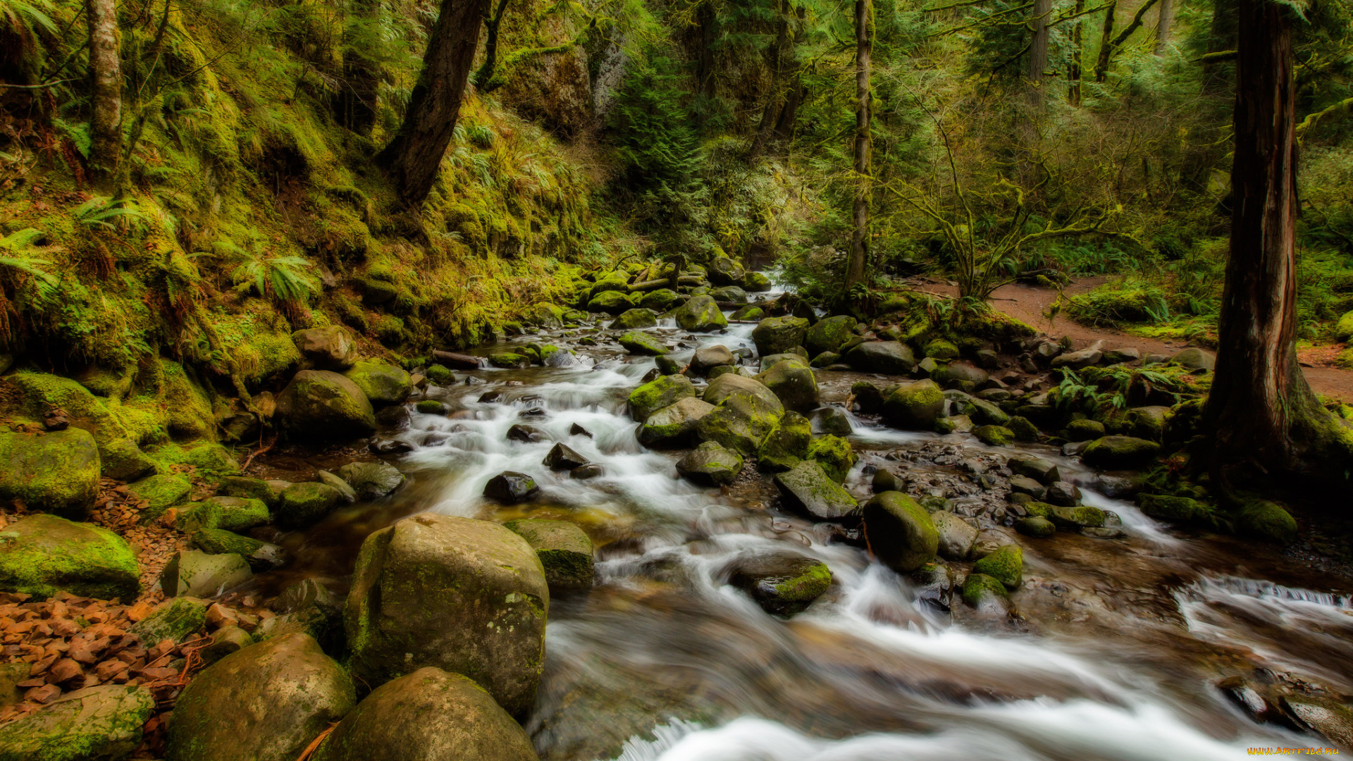 природа, реки, озера, простор