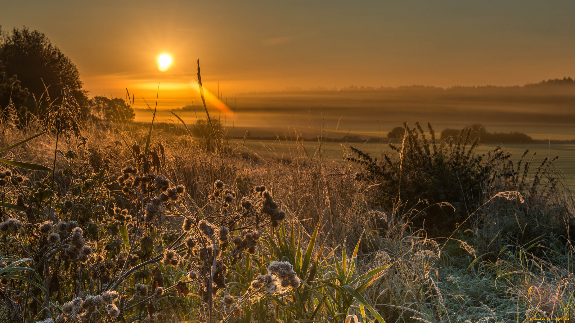 природа, восходы, закаты, простор