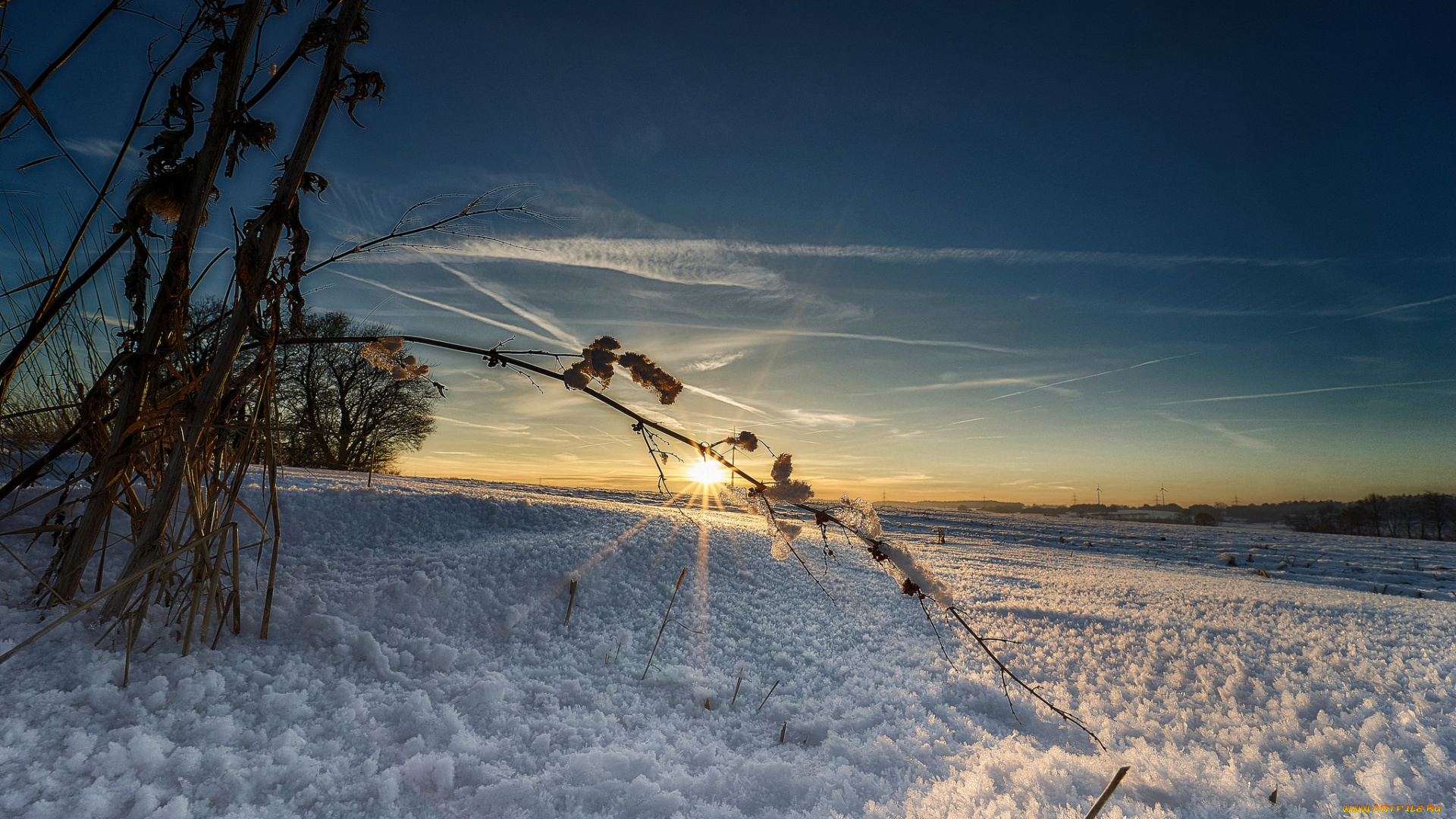 природа, зима, простор, снег