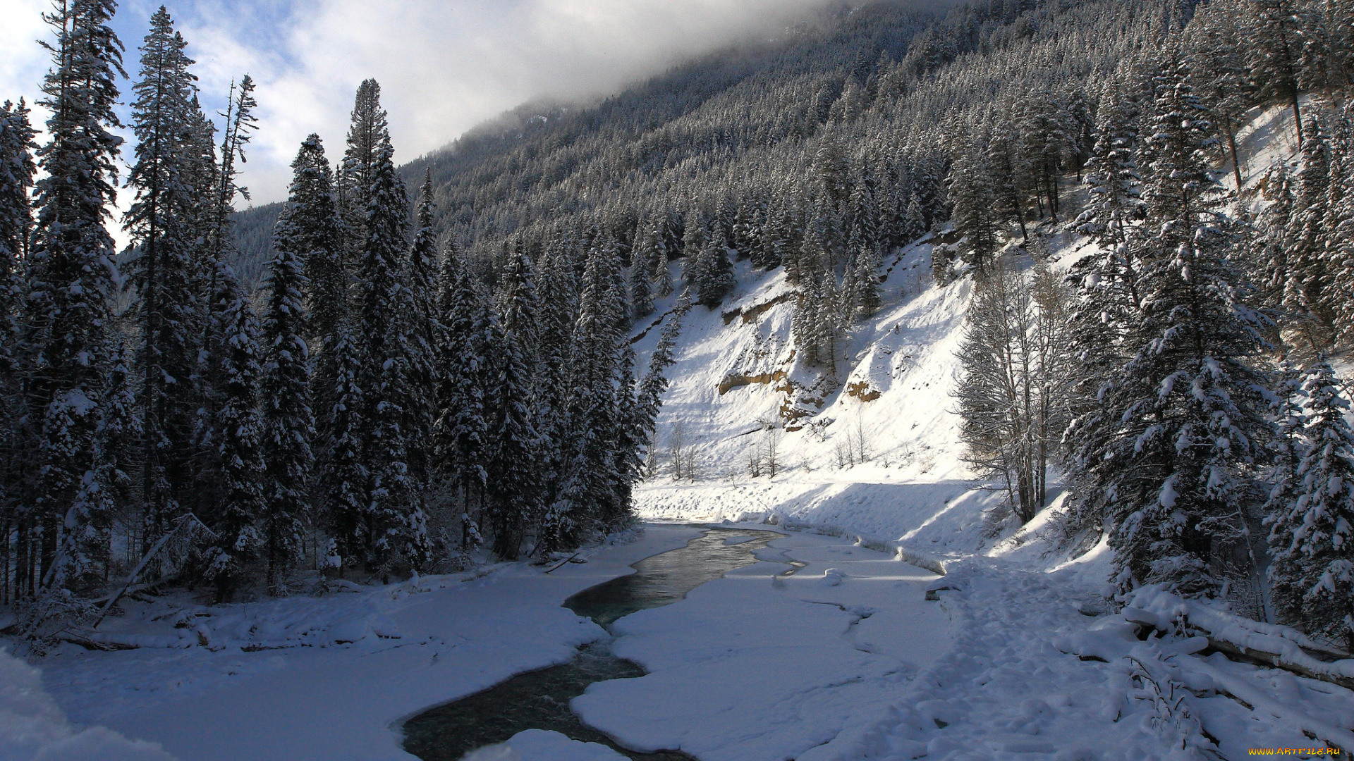 природа, зима, простор, снег