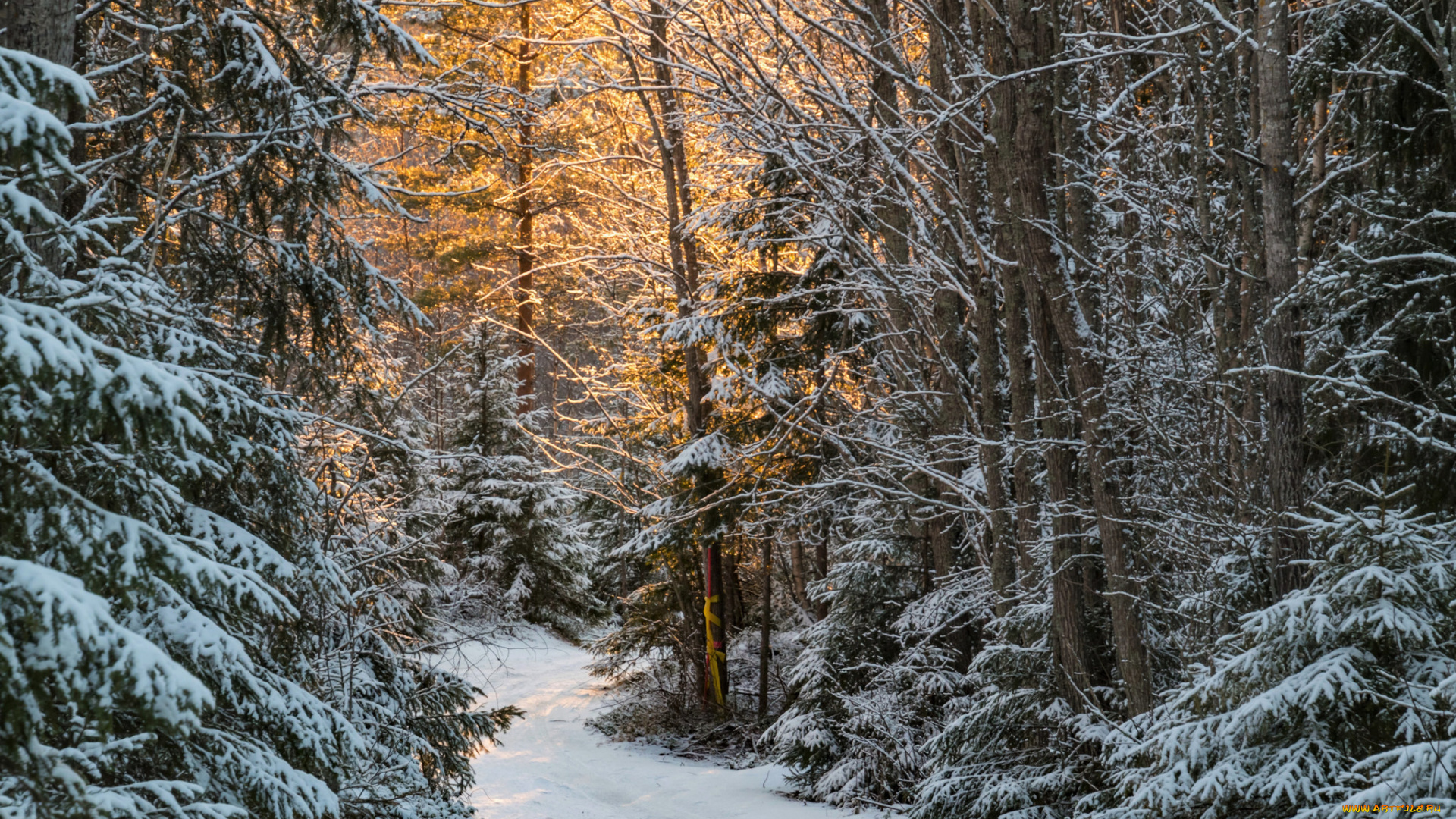 природа, зима, простор, снег