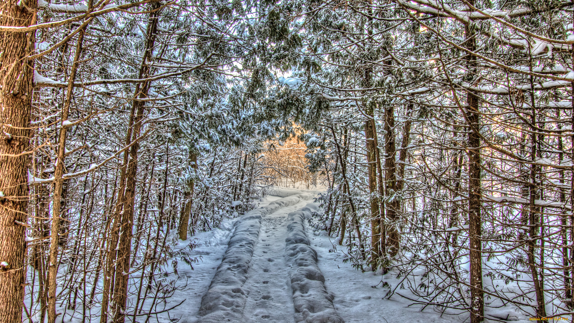 природа, зима, снег, простор