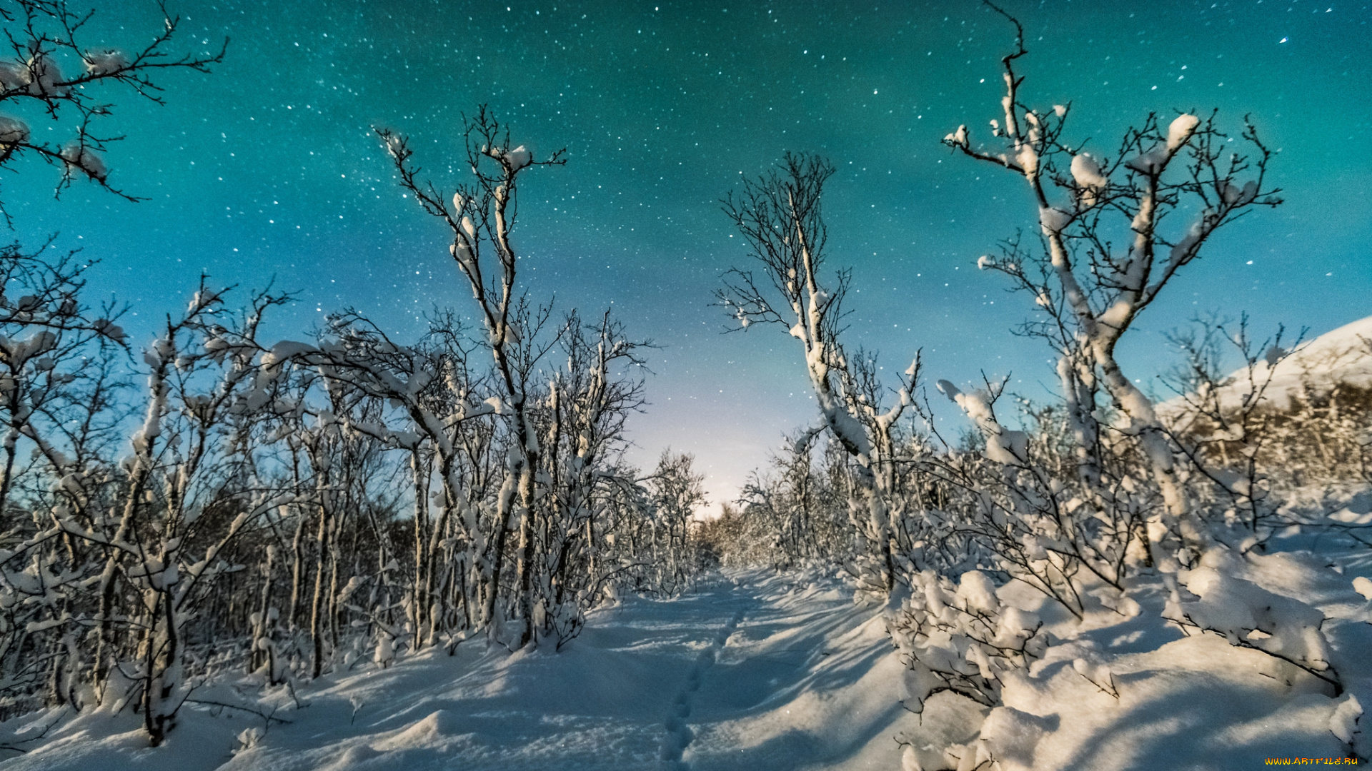 природа, зима, снег, простор