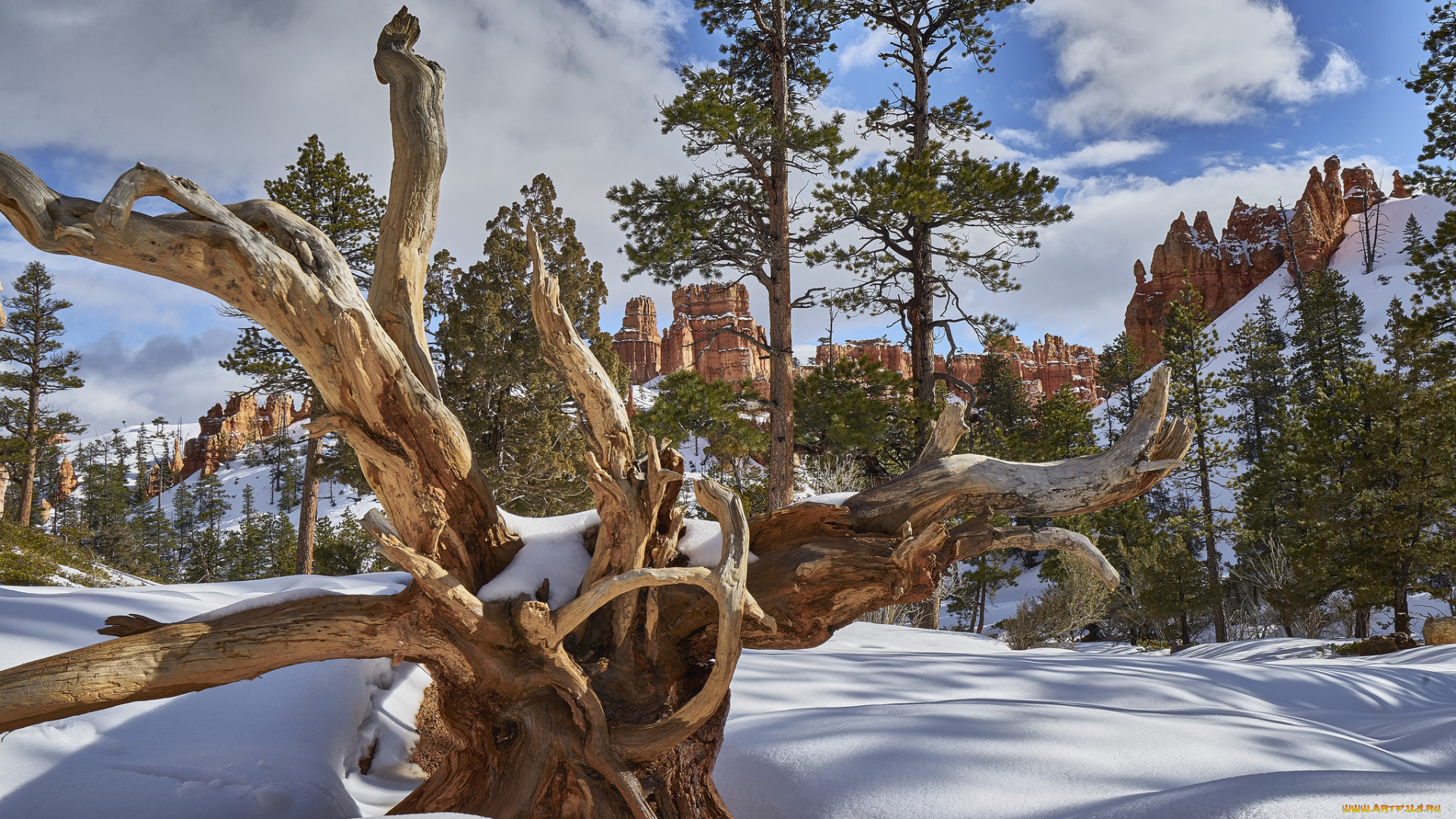 природа, зима, снег, простор