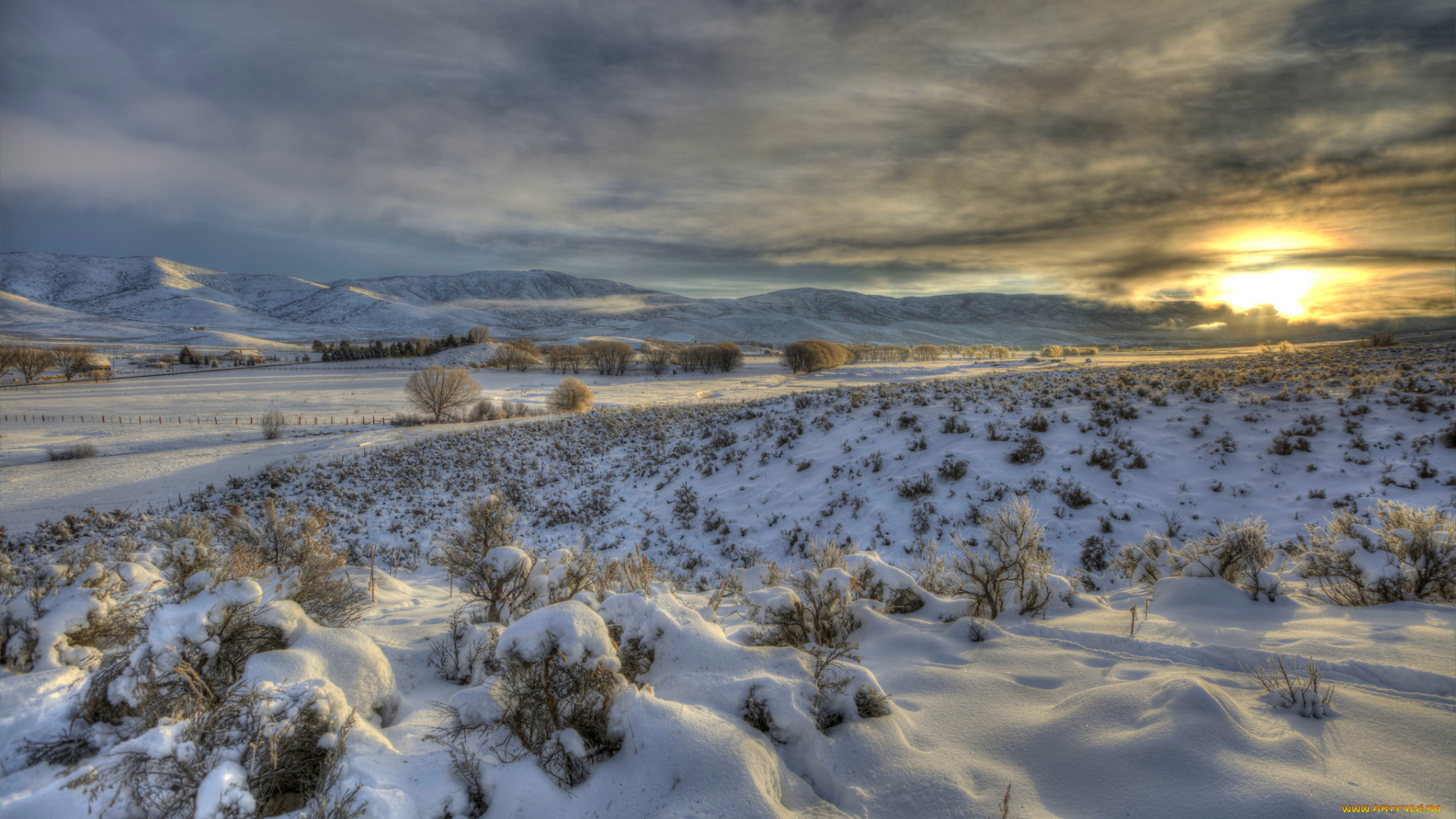 природа, зима, снег, простор