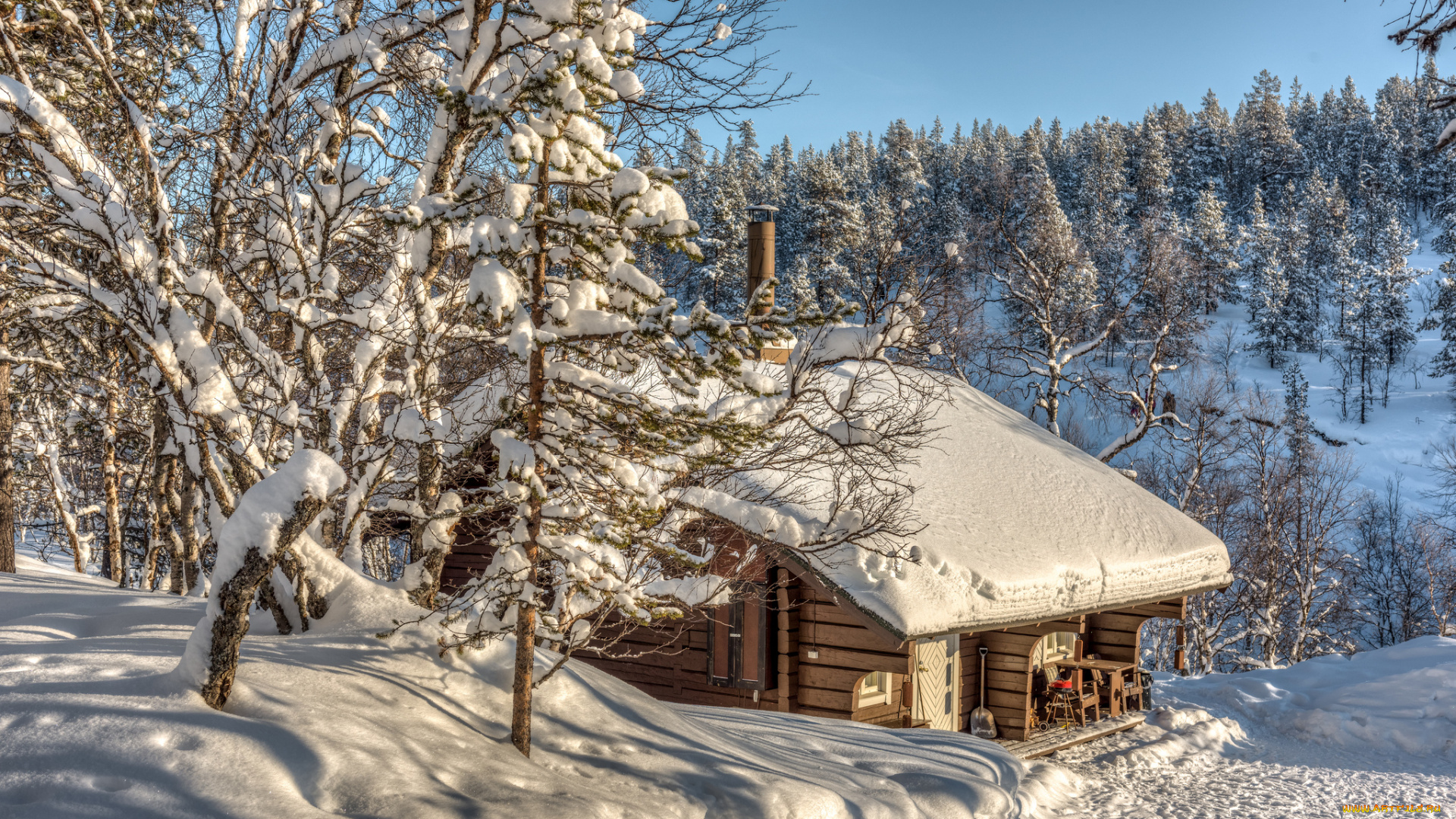 природа, зима, снег, простор