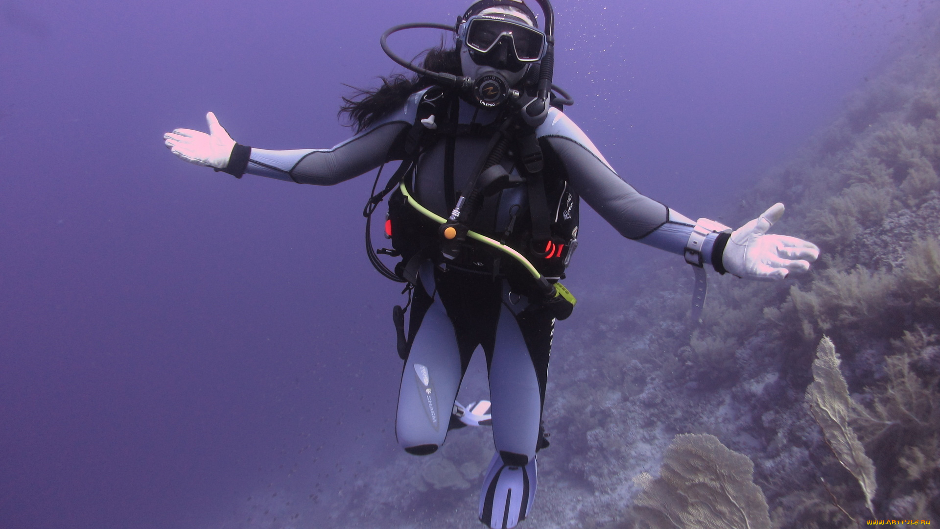 спорт, -, другое, девушка, акваланг, водоем, растение