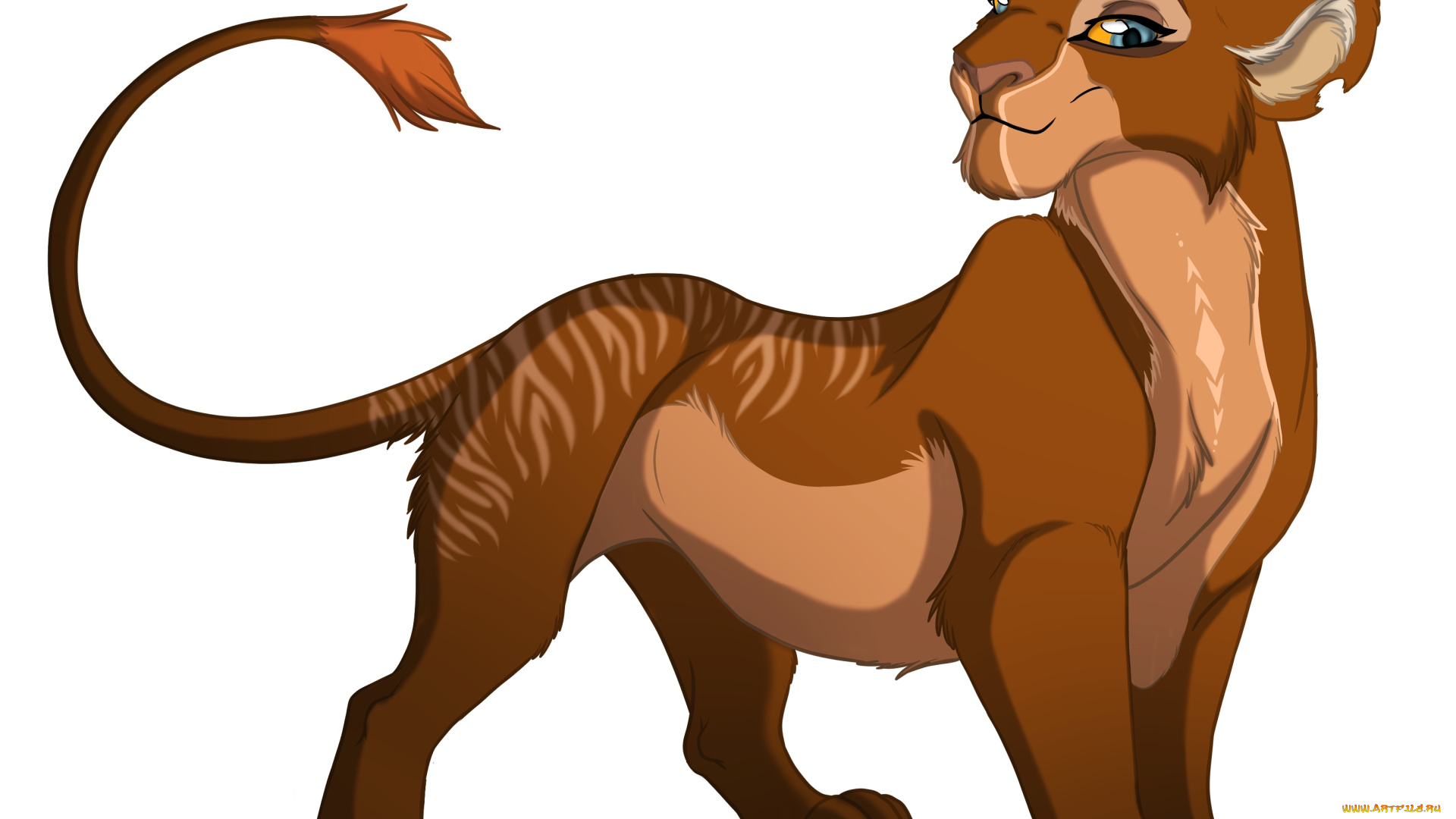 векторная, графика, мультфильмы, , cartoons, фон, лев