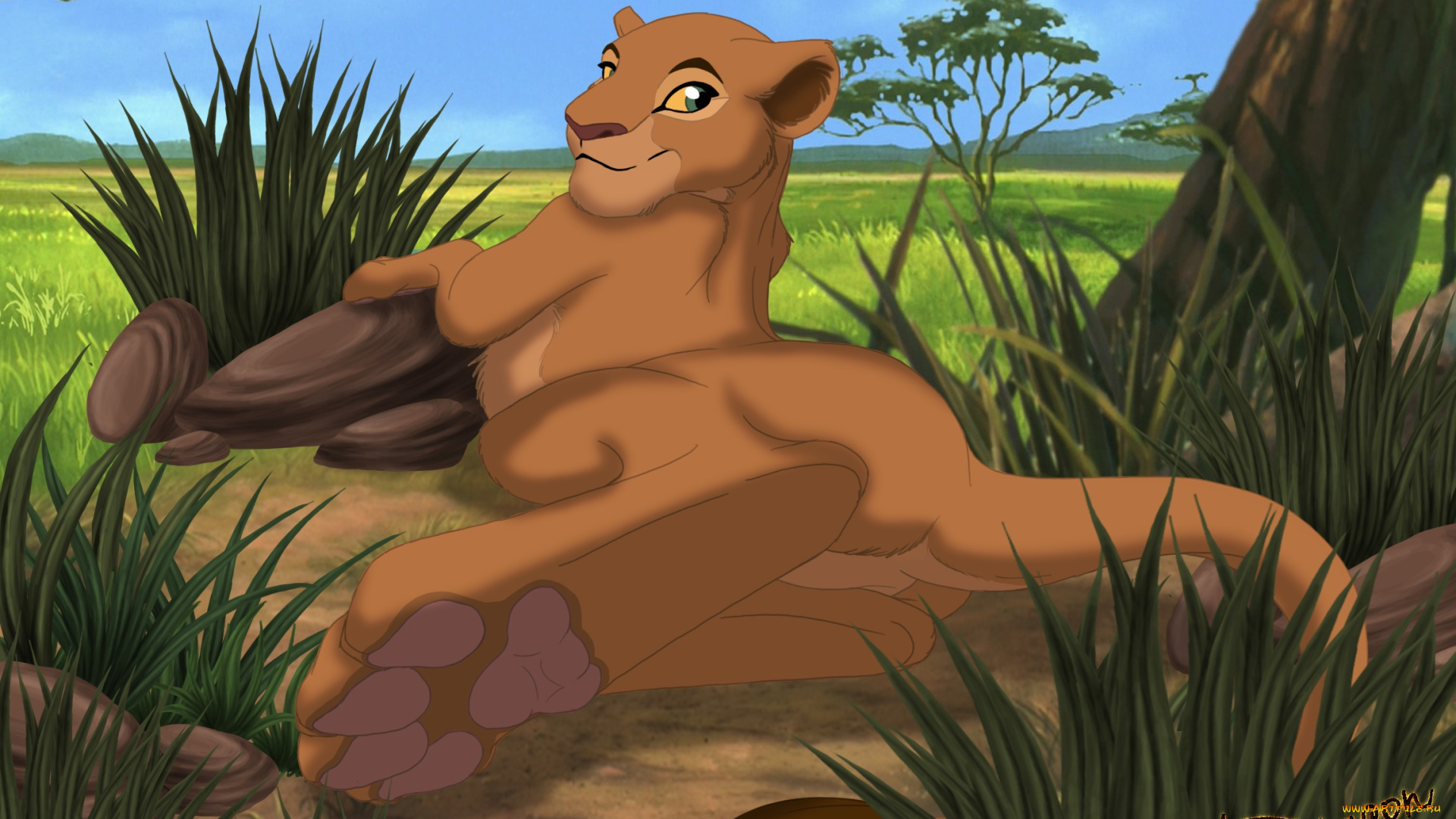 векторная, графика, мультфильмы, , cartoons, фон, лев