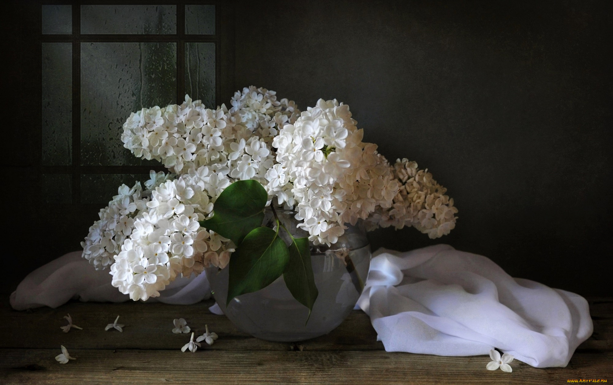 цветы, сирень, цветение, цветки, лепестки