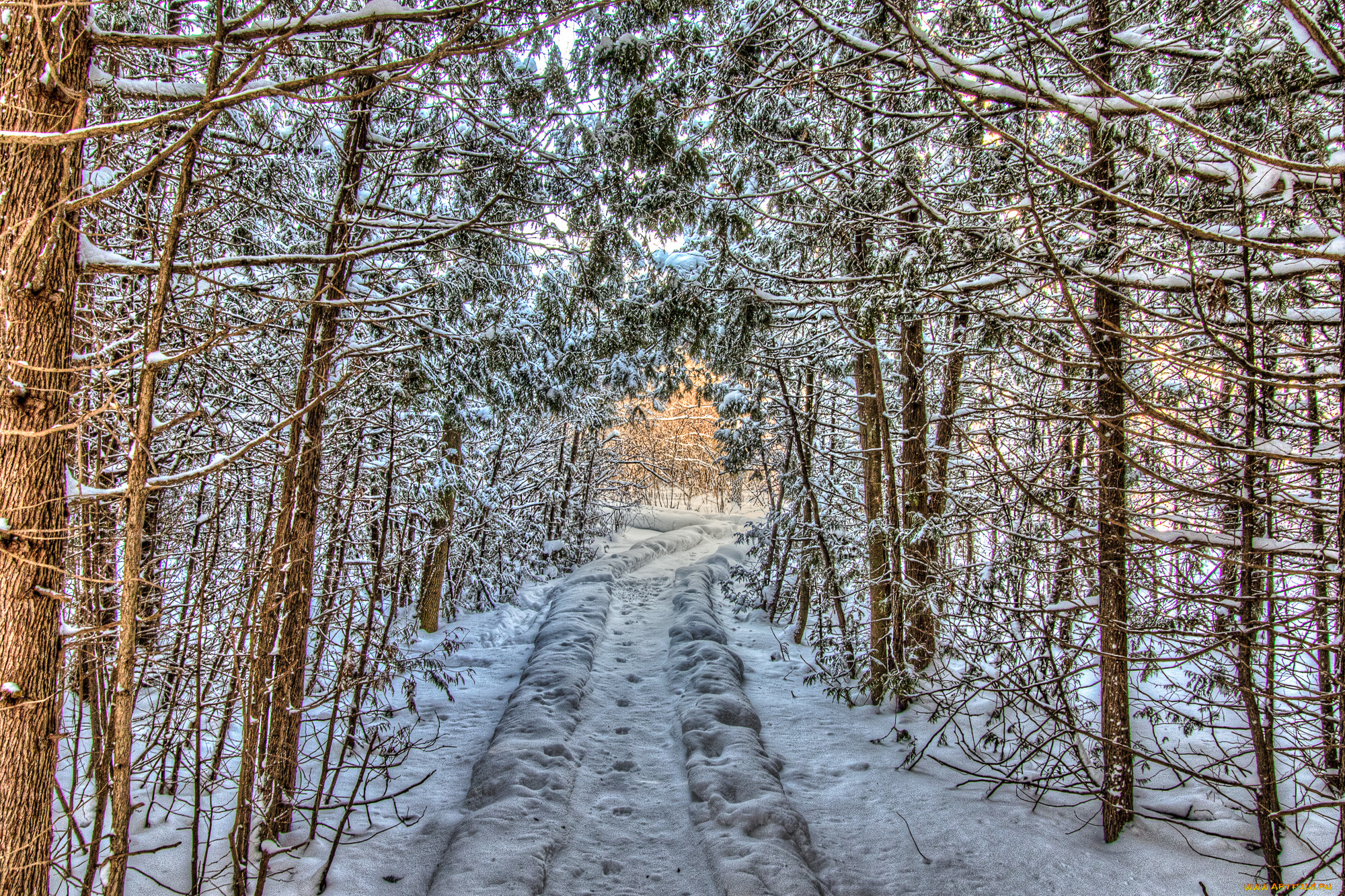 природа, зима, снег, простор