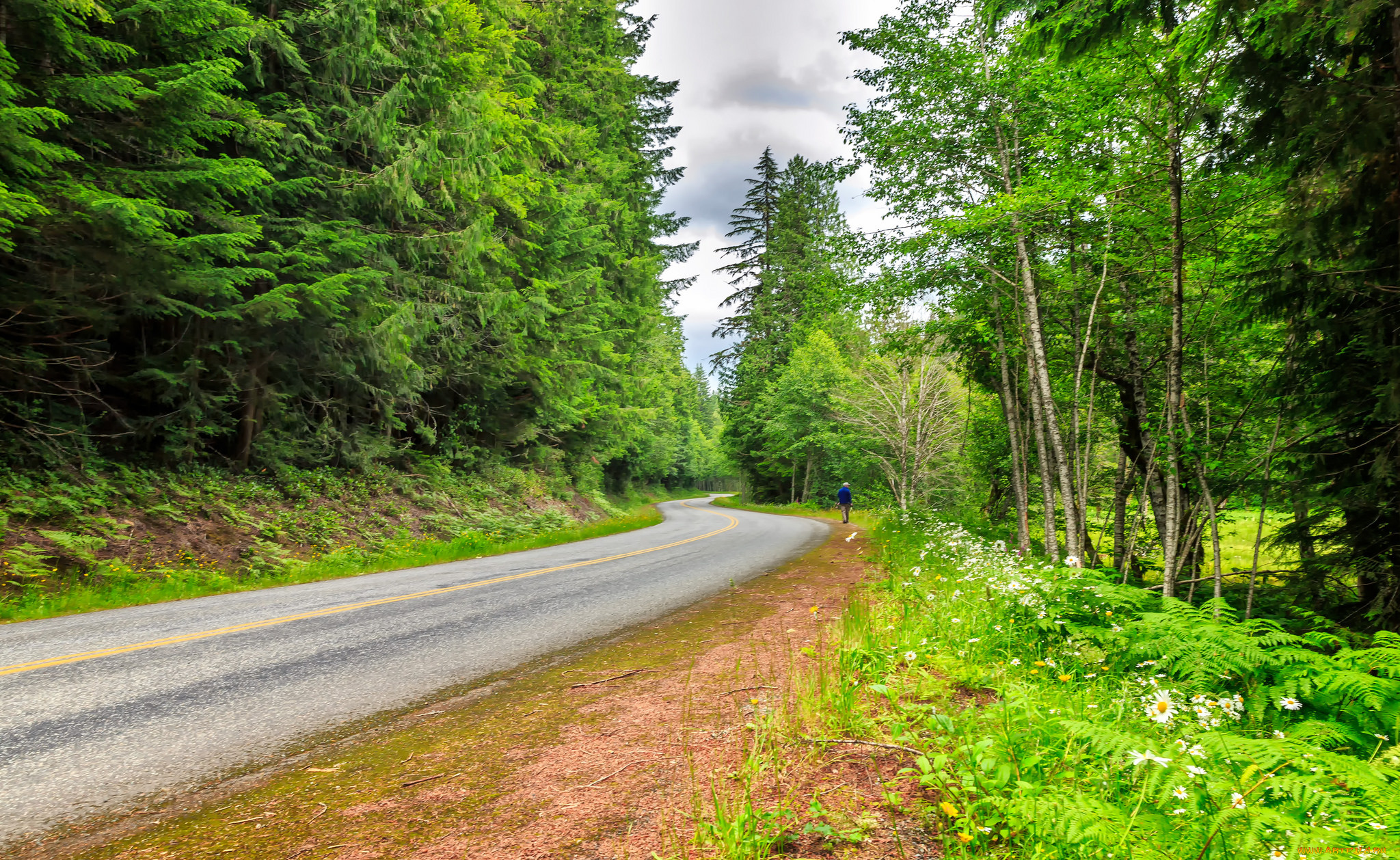 природа, дороги, простор