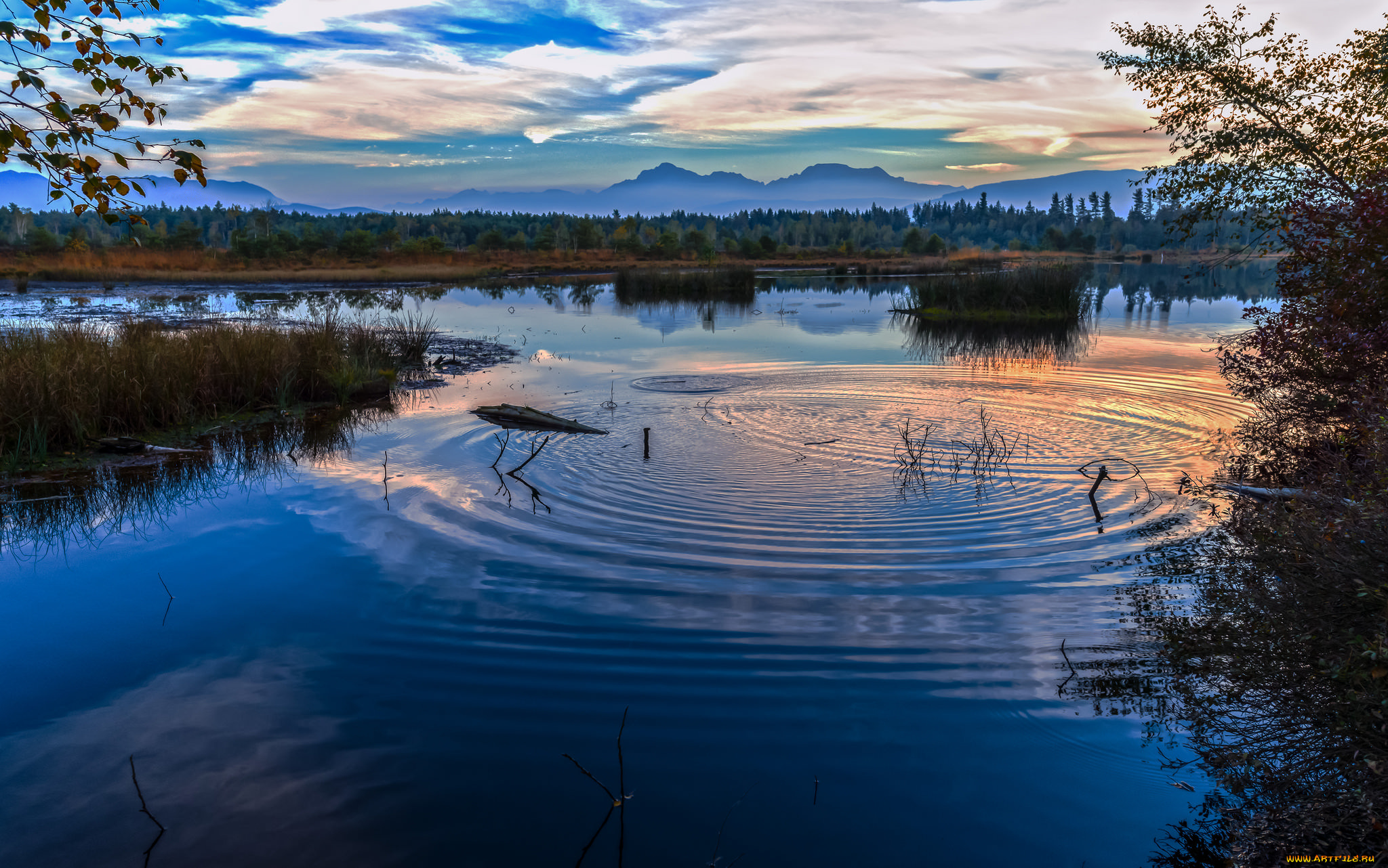 природа, реки, озера, простор