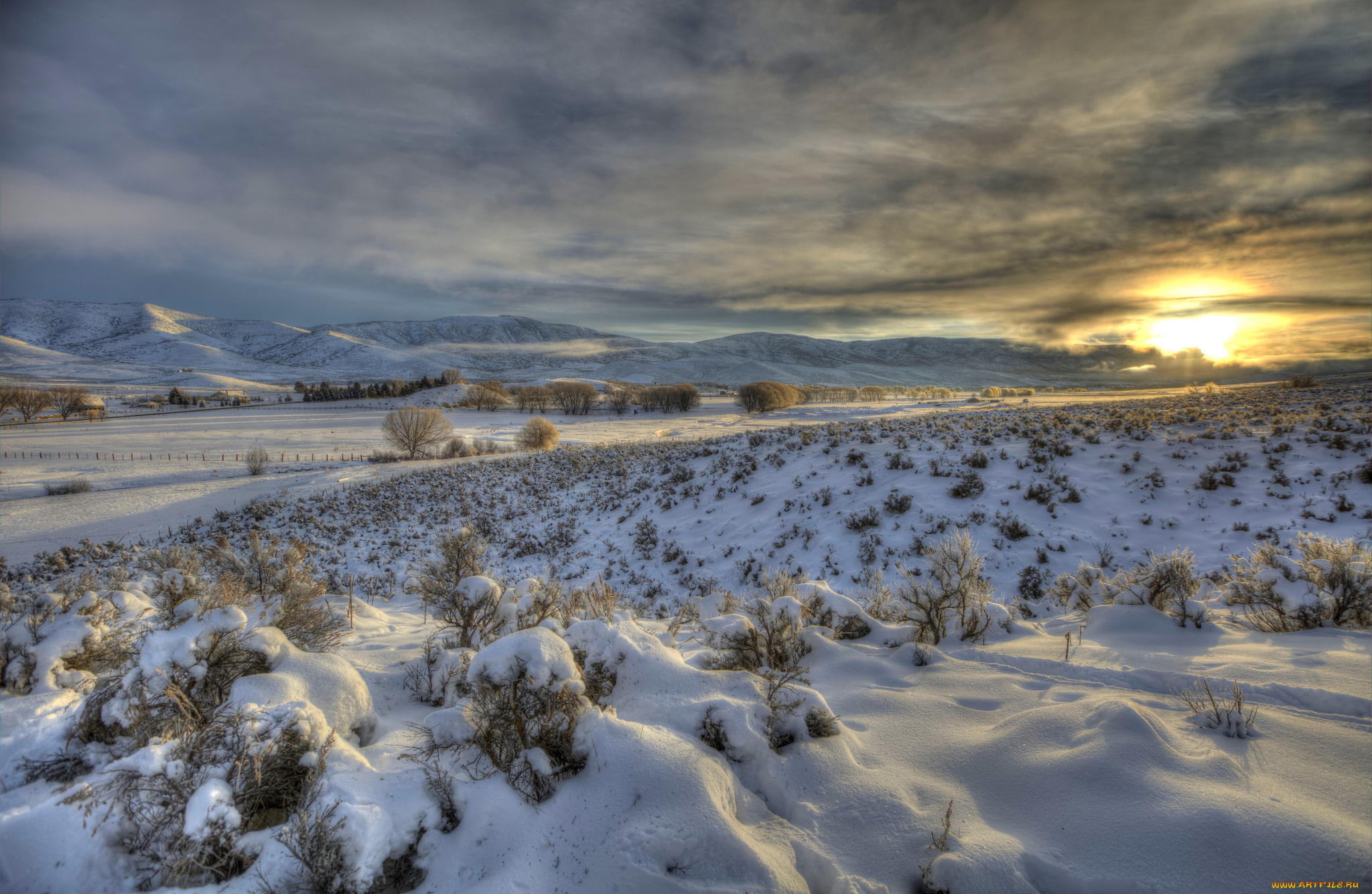 природа, зима, снег, простор