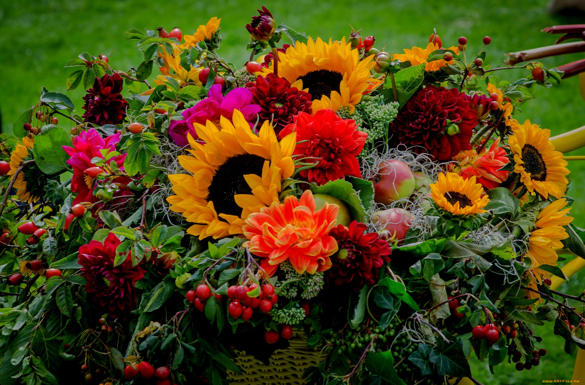 цветы, букеты, , композиции, георгин, ягоды, подсолнух, букет