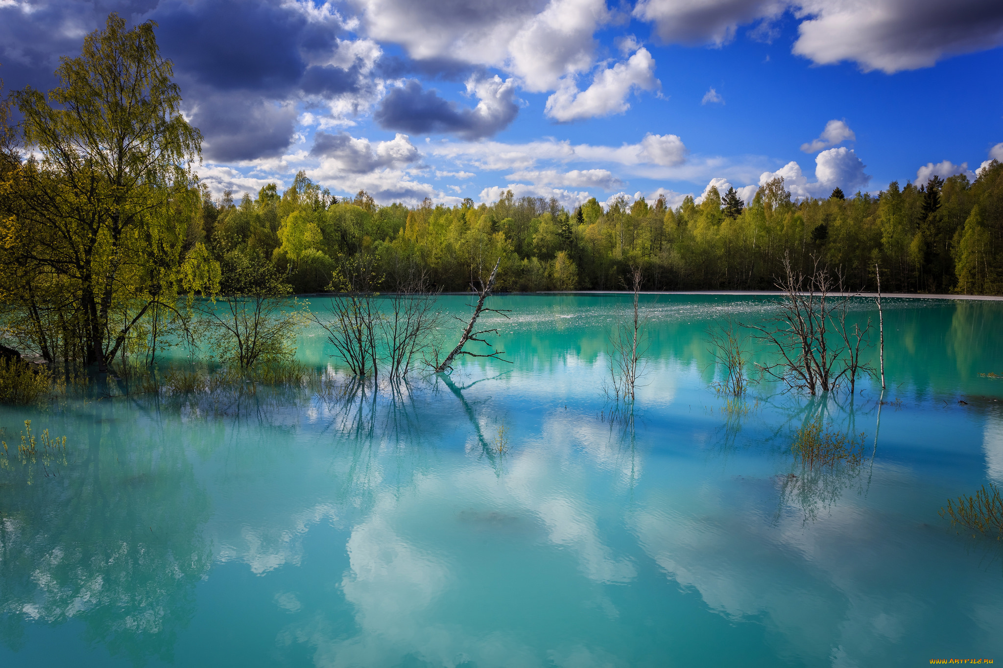 природа, реки, озера, простор