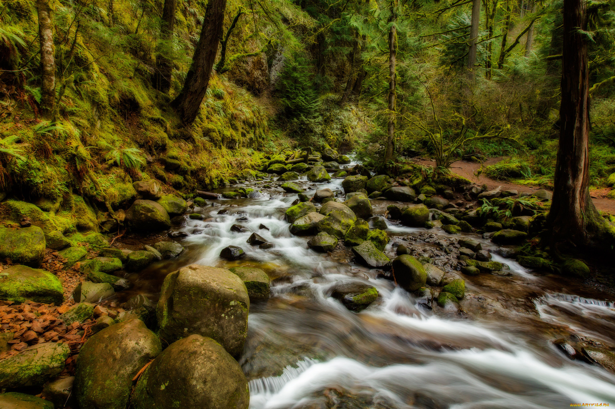 природа, реки, озера, простор