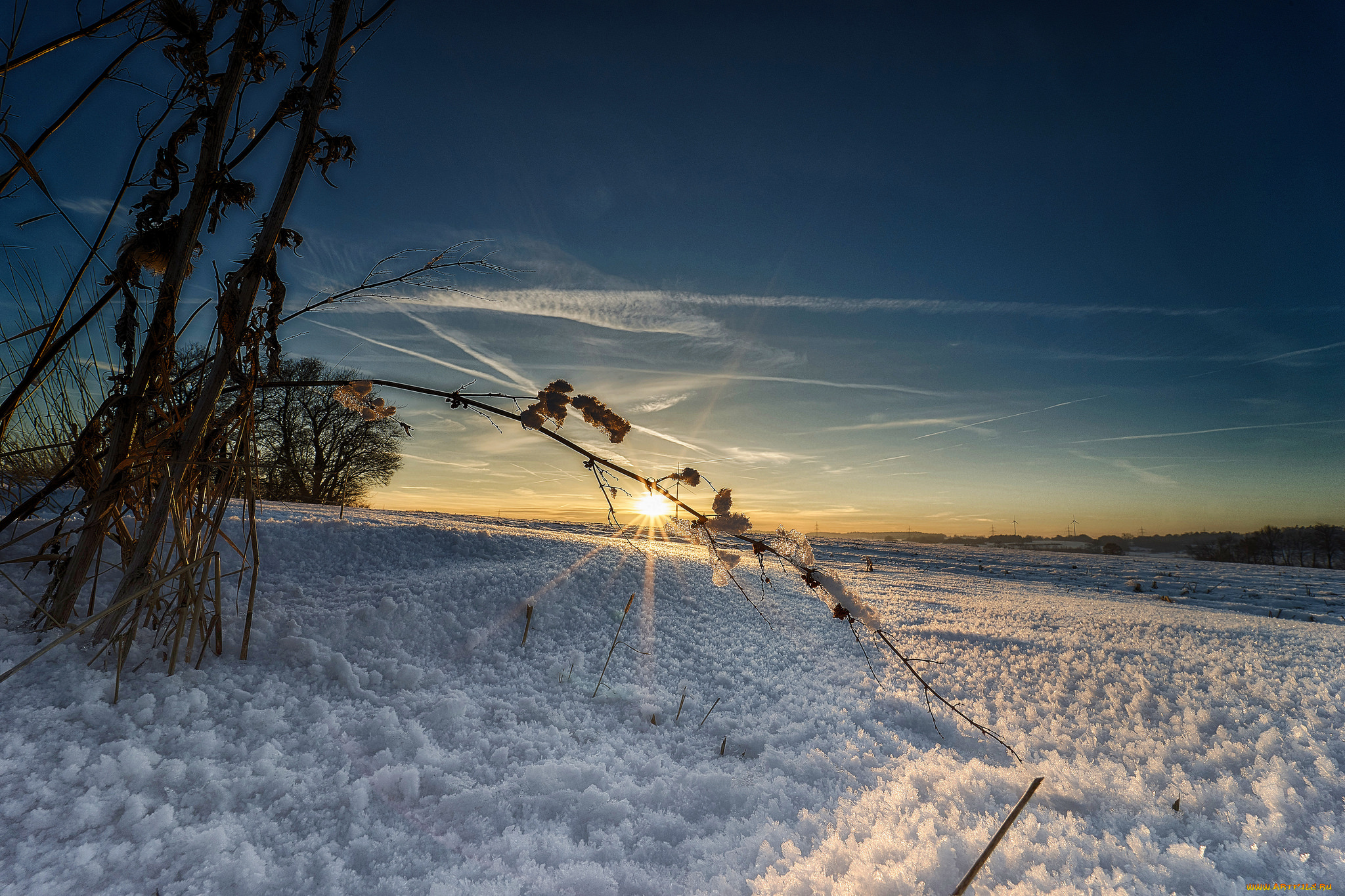 природа, зима, простор, снег