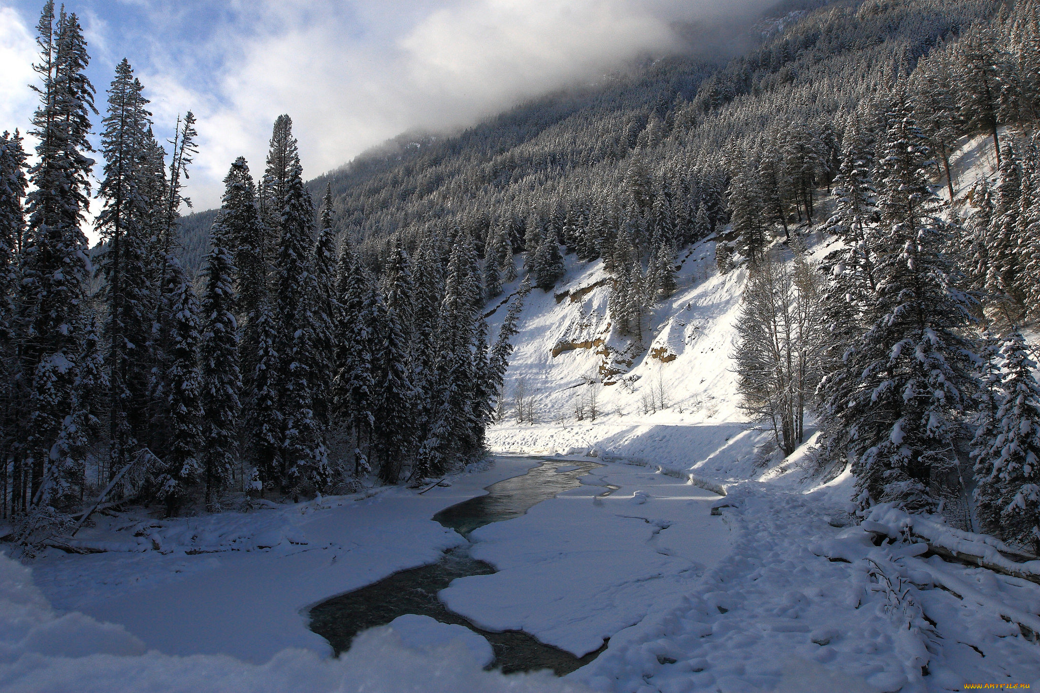 природа, зима, простор, снег