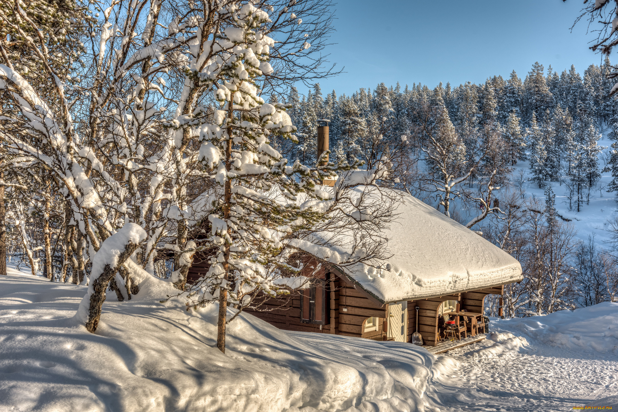 природа, зима, снег, простор