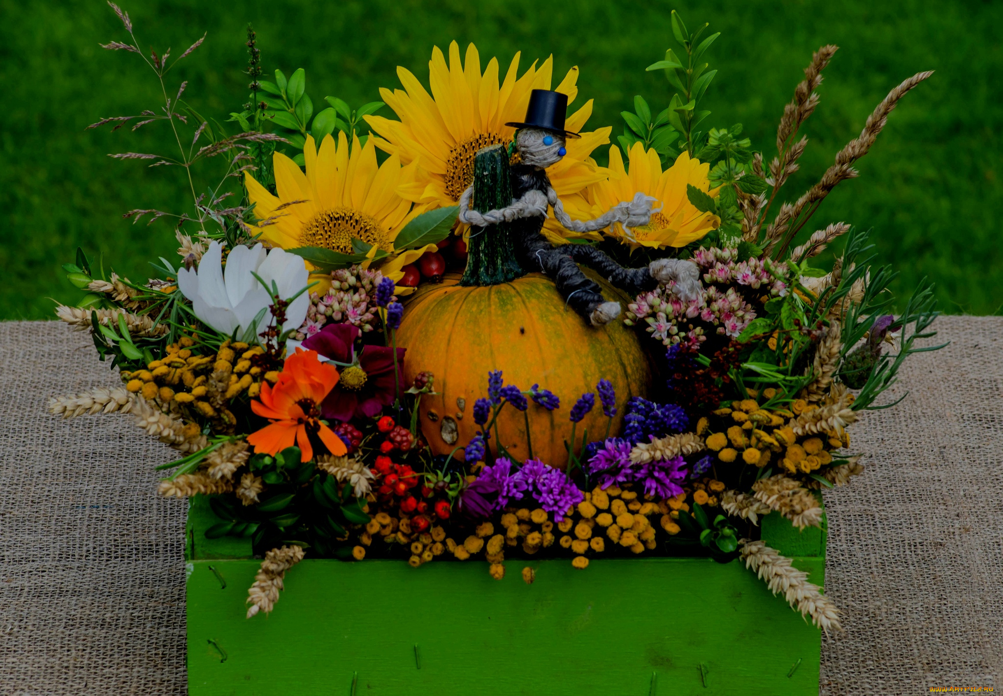цветы, букеты, , композиции, георгин, подсолнух, тыква, букет