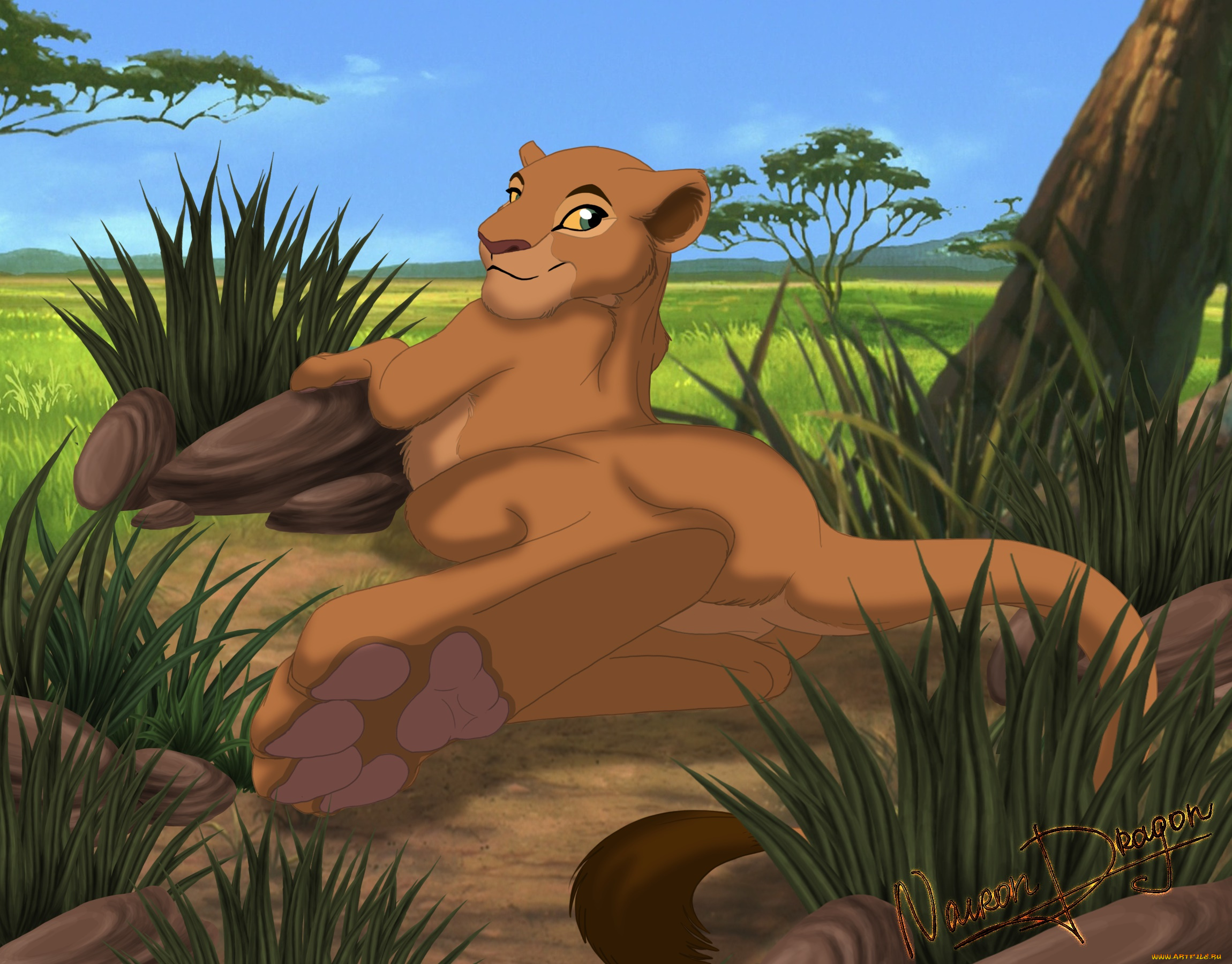 векторная, графика, мультфильмы, , cartoons, фон, лев