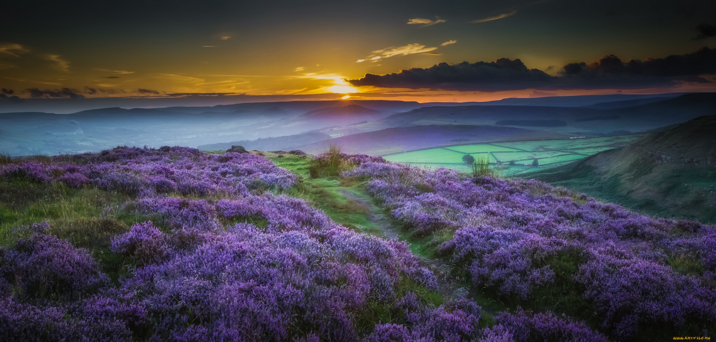 природа, пейзажи, луг, пейзаж, горы, цветы, закат