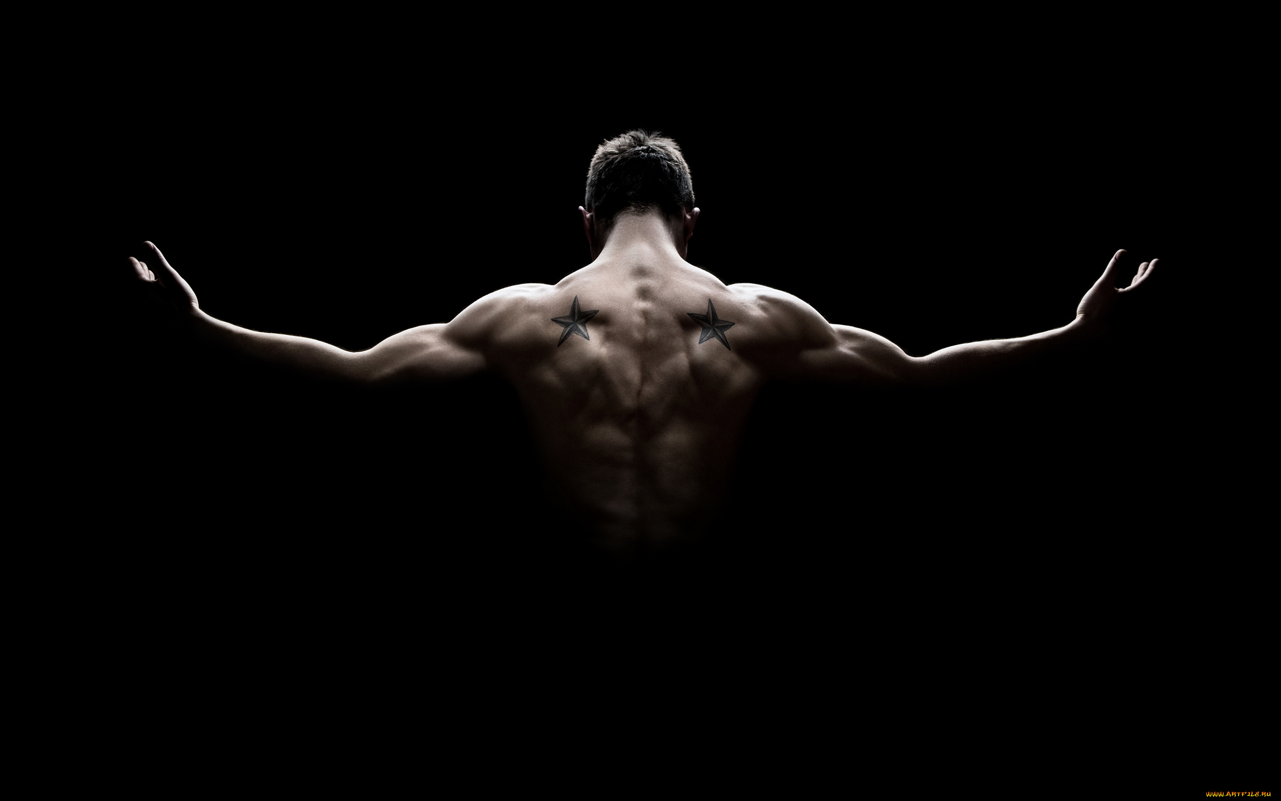 мужчины, -, unsort, спина, тату