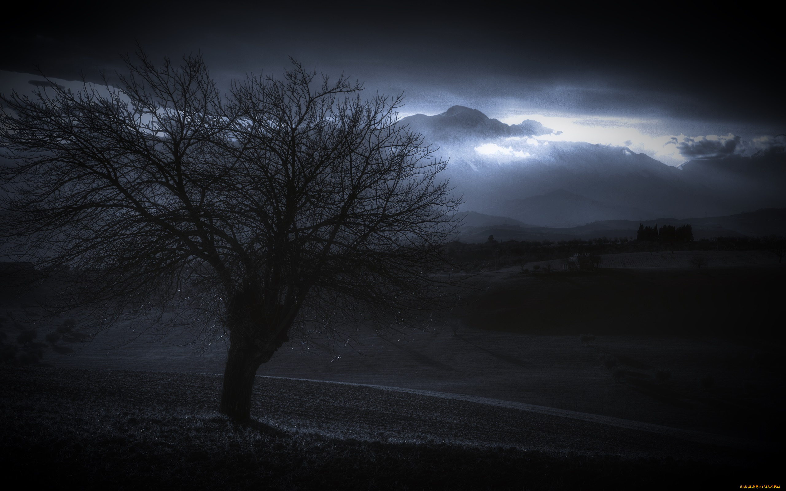 природа, деревья, поле, дерево, облака