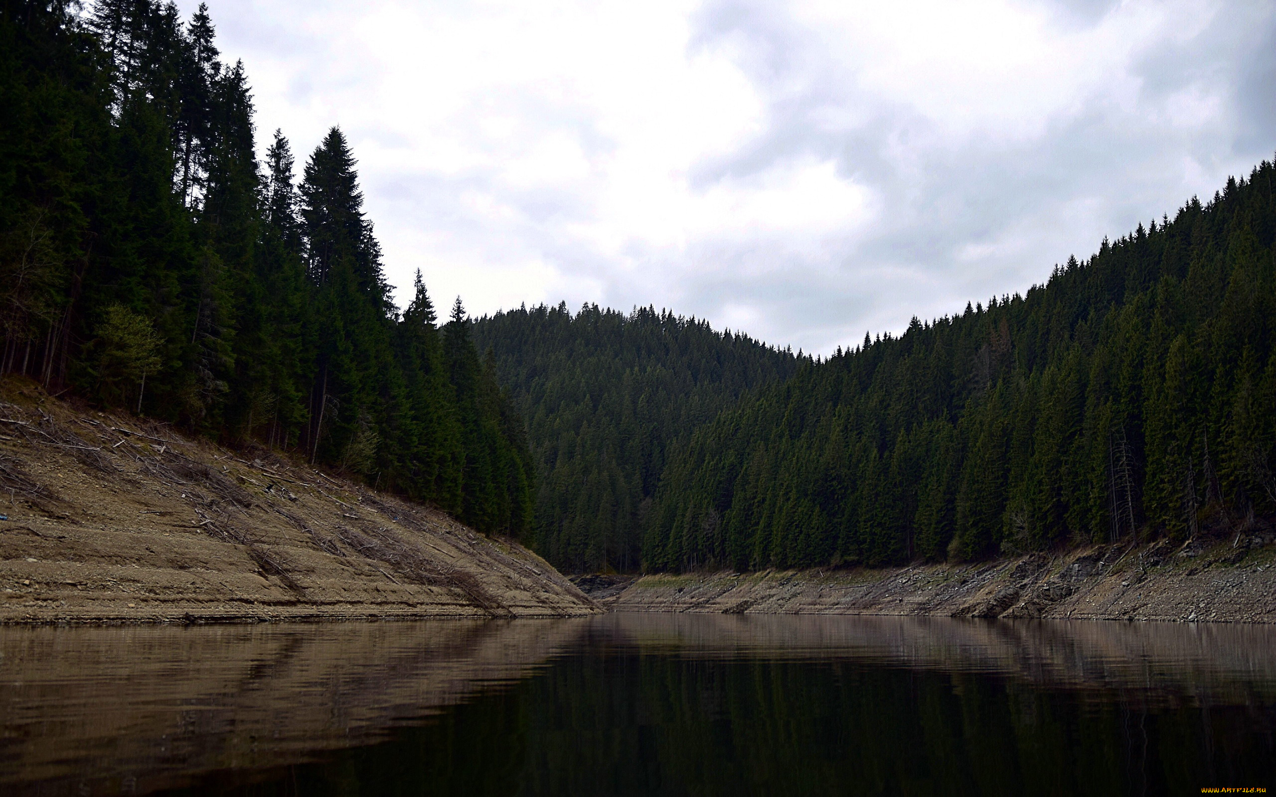 природа, реки, озера, деревья, лес, река