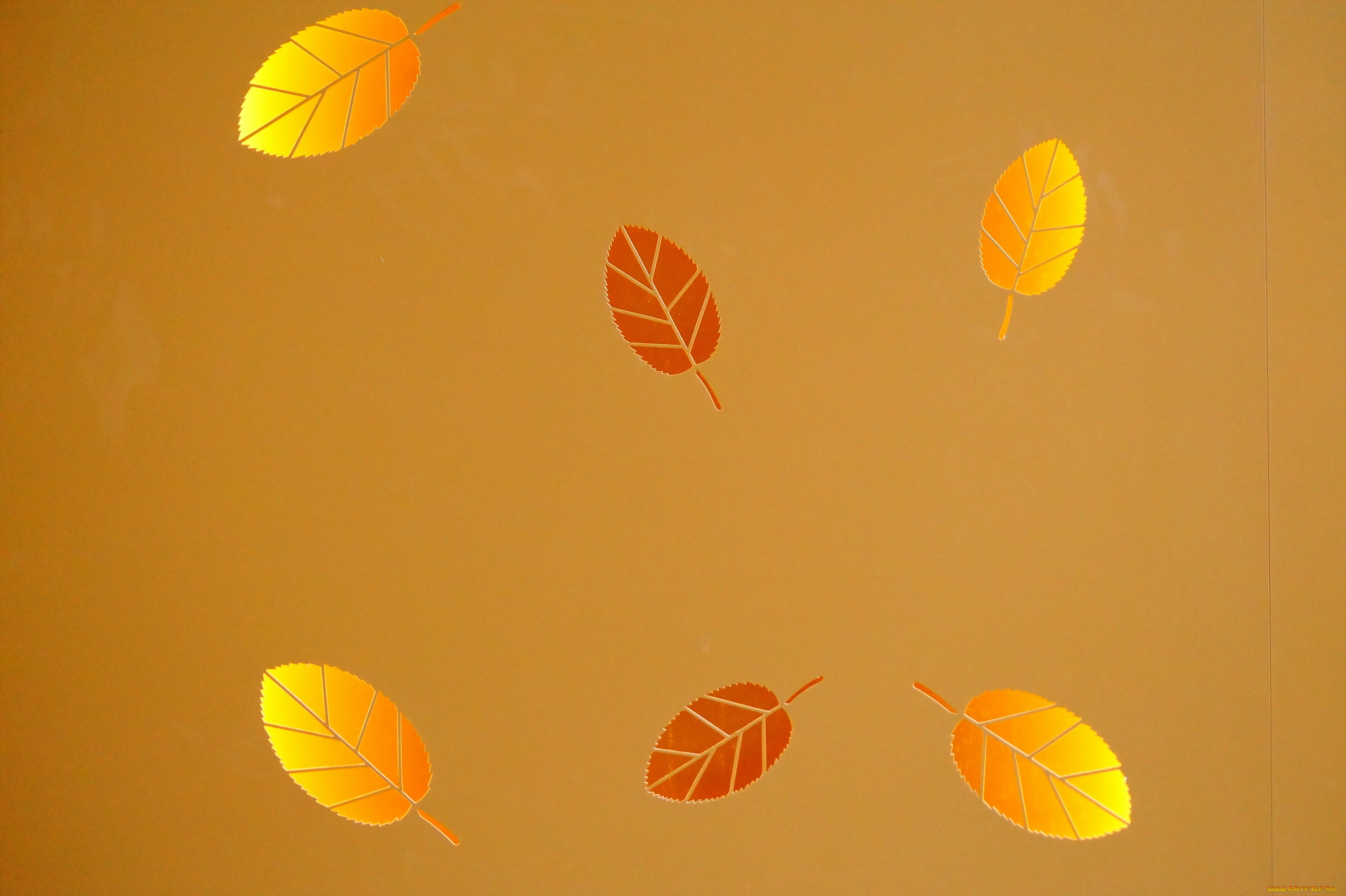 векторная, графика, природа, , nature, фон, листья, текстура