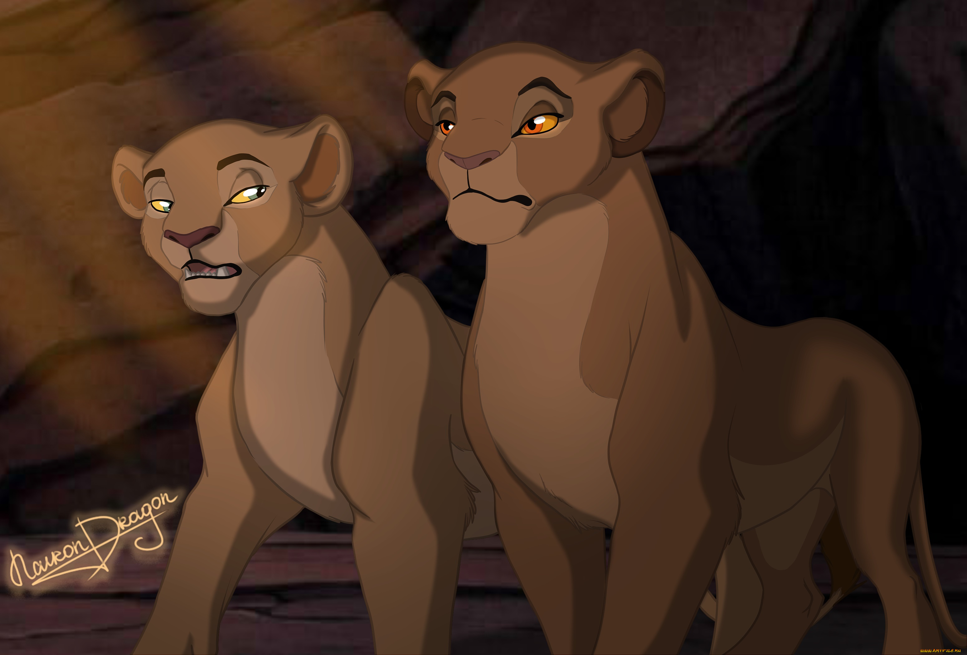 векторная, графика, мультфильмы, , cartoons, фон, лев