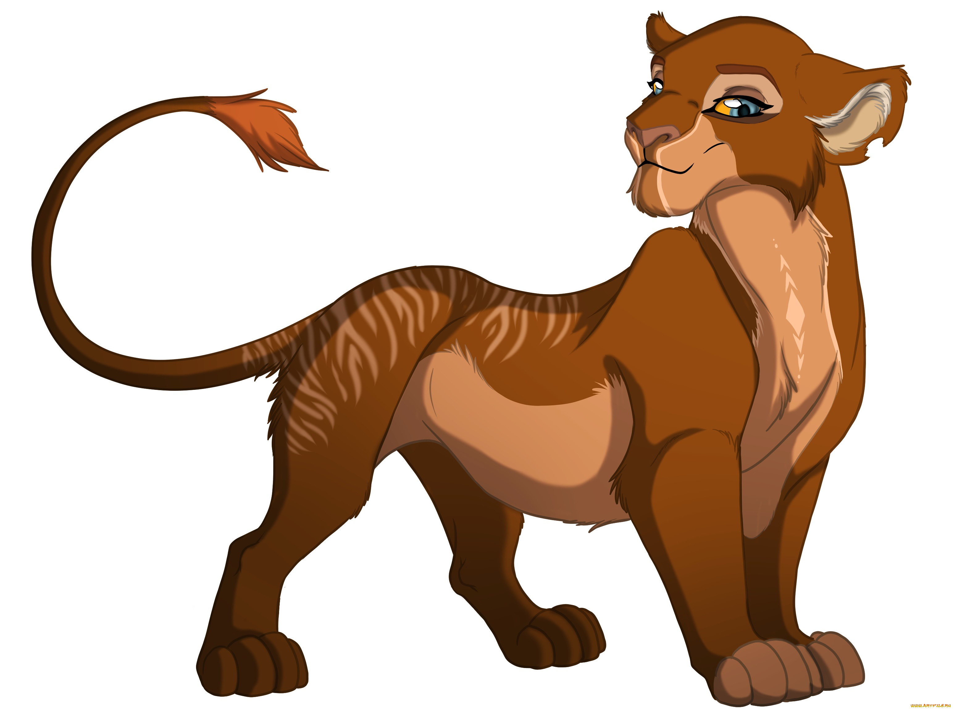 векторная, графика, мультфильмы, , cartoons, фон, лев