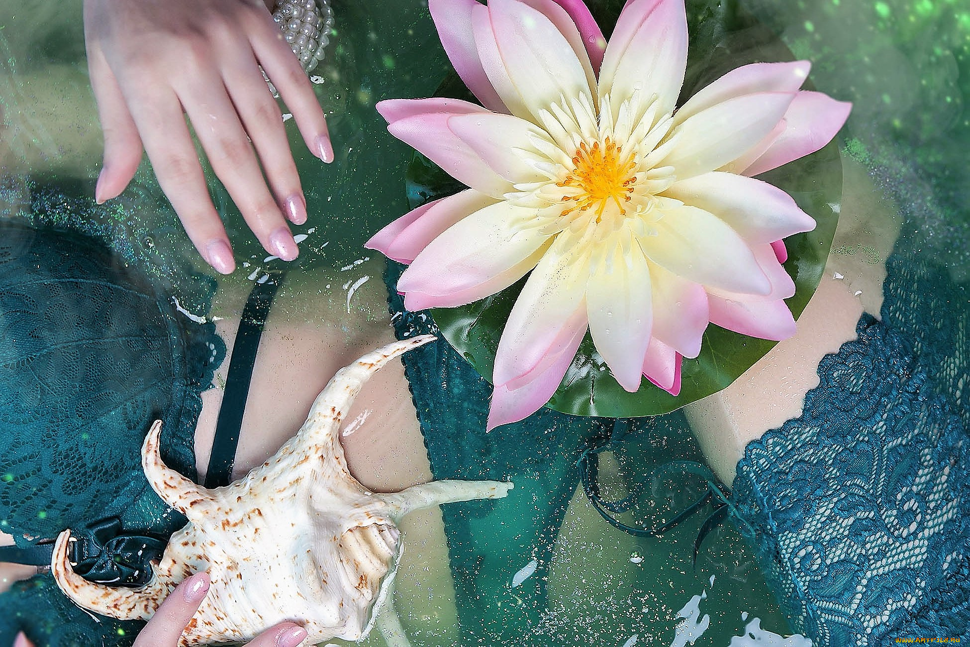 девушки, -, женские, прелести, рука, белье, ракушка, кувшинка, вода