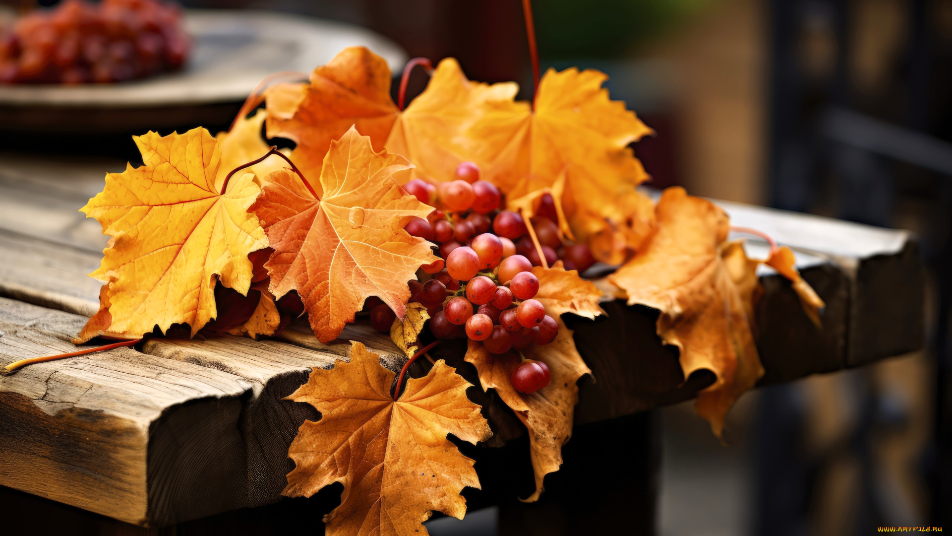 3д, графика, природа, , nature, стол, виноград, ягоды, листья