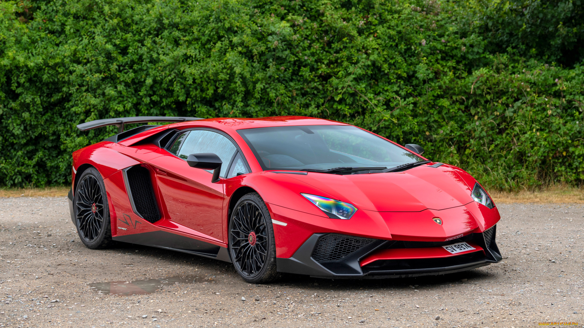 автомобили, lamborghini