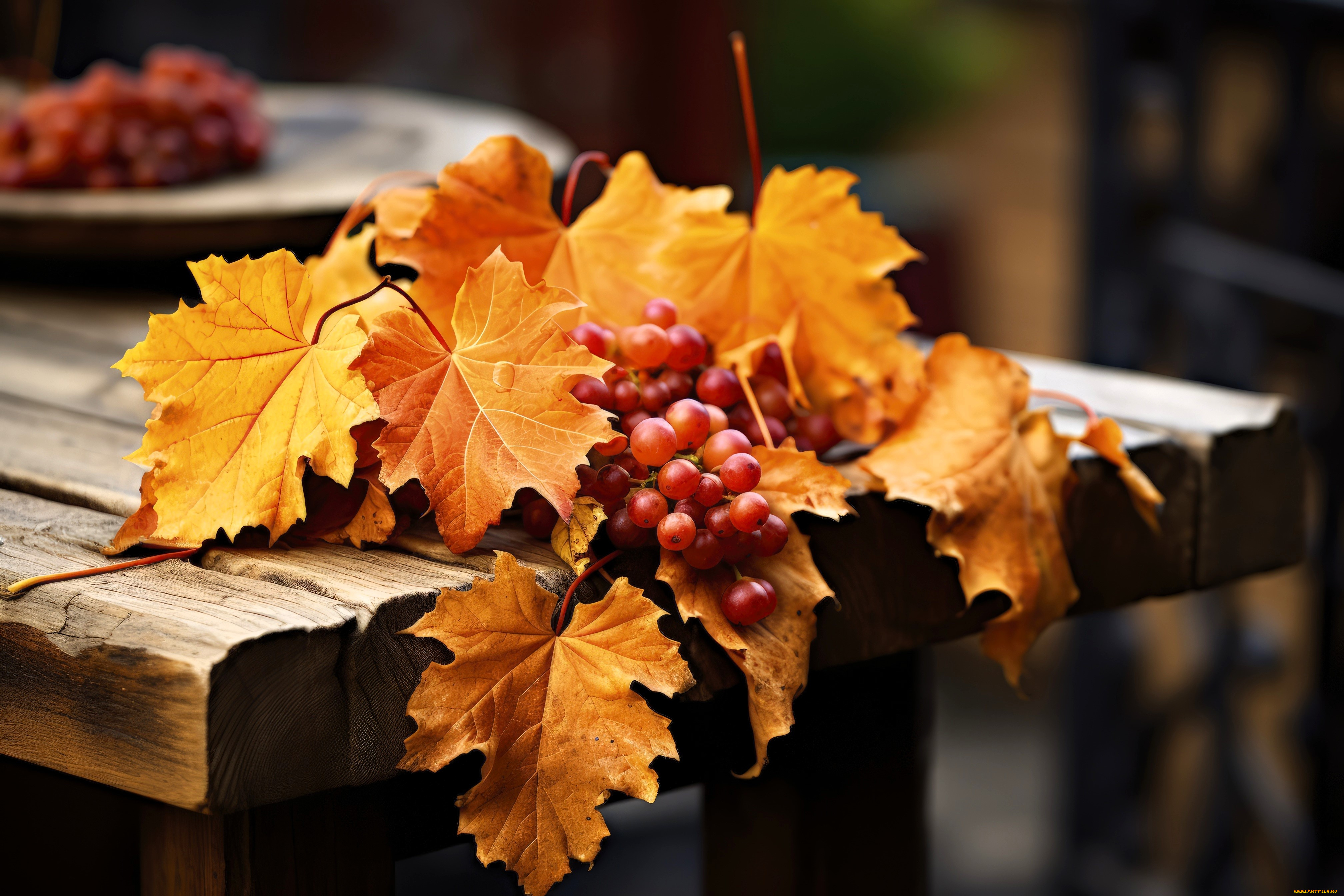 3д, графика, природа, , nature, стол, виноград, ягоды, листья