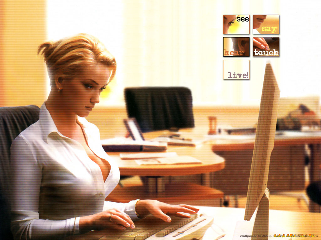 -Unsort, Блондинки, девушки, unsort, блондинки, девушка, взгляд, фон, модель, блондинка