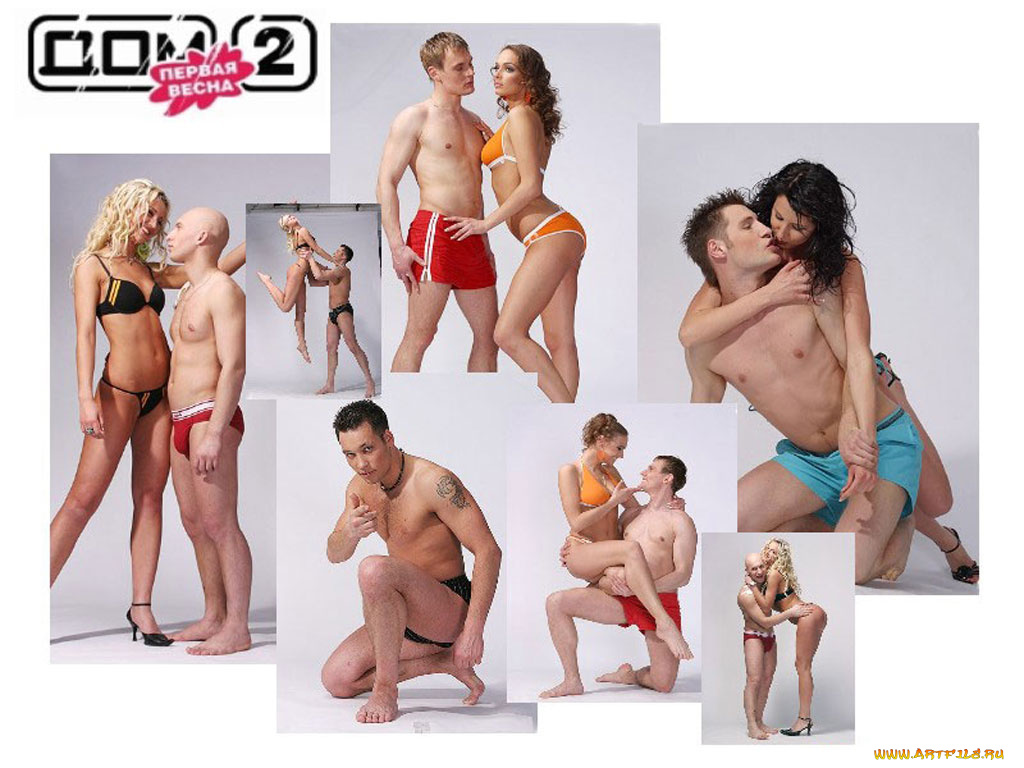 дом, бренды